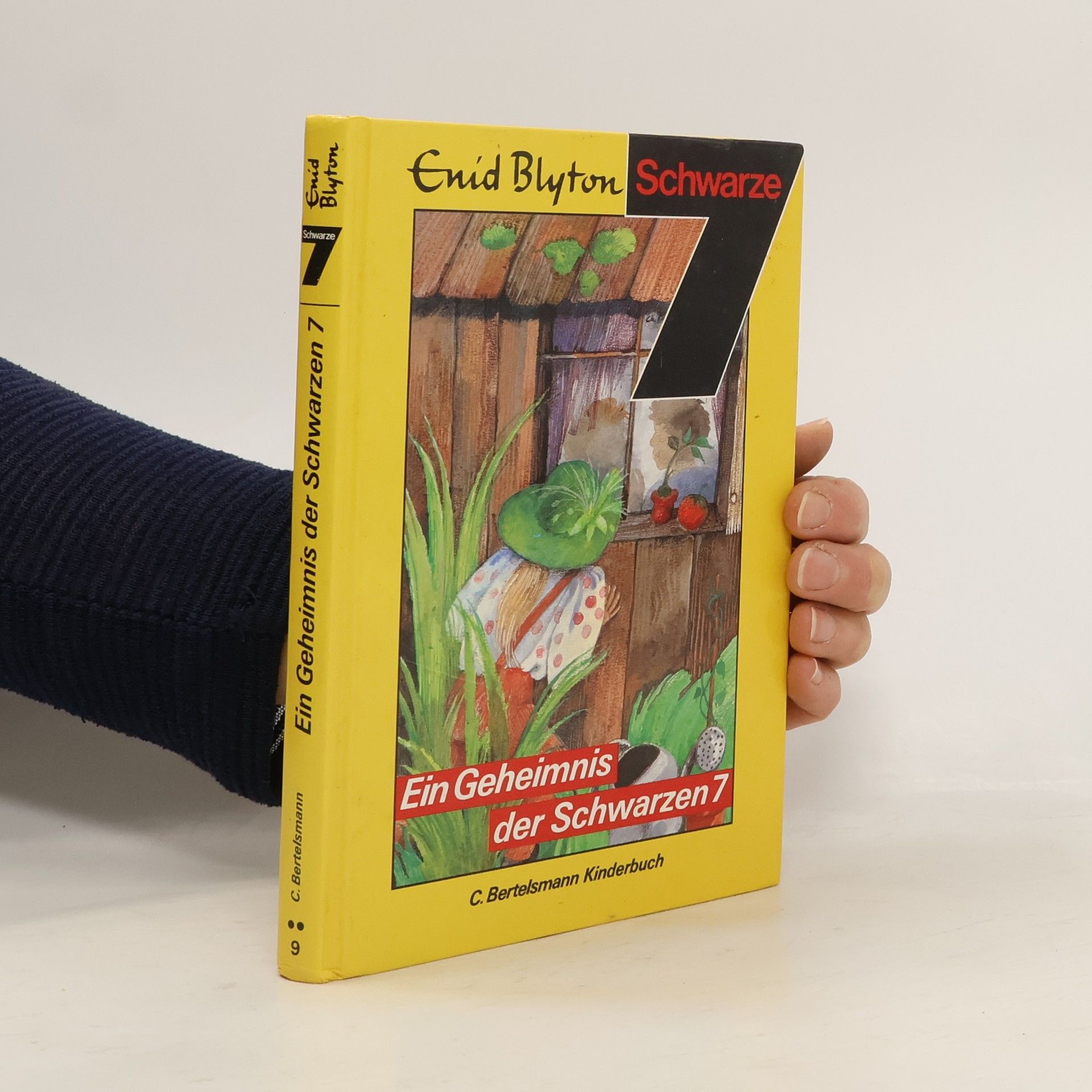 Enid Blyton Ein Geheimnis der Schwarzen 7