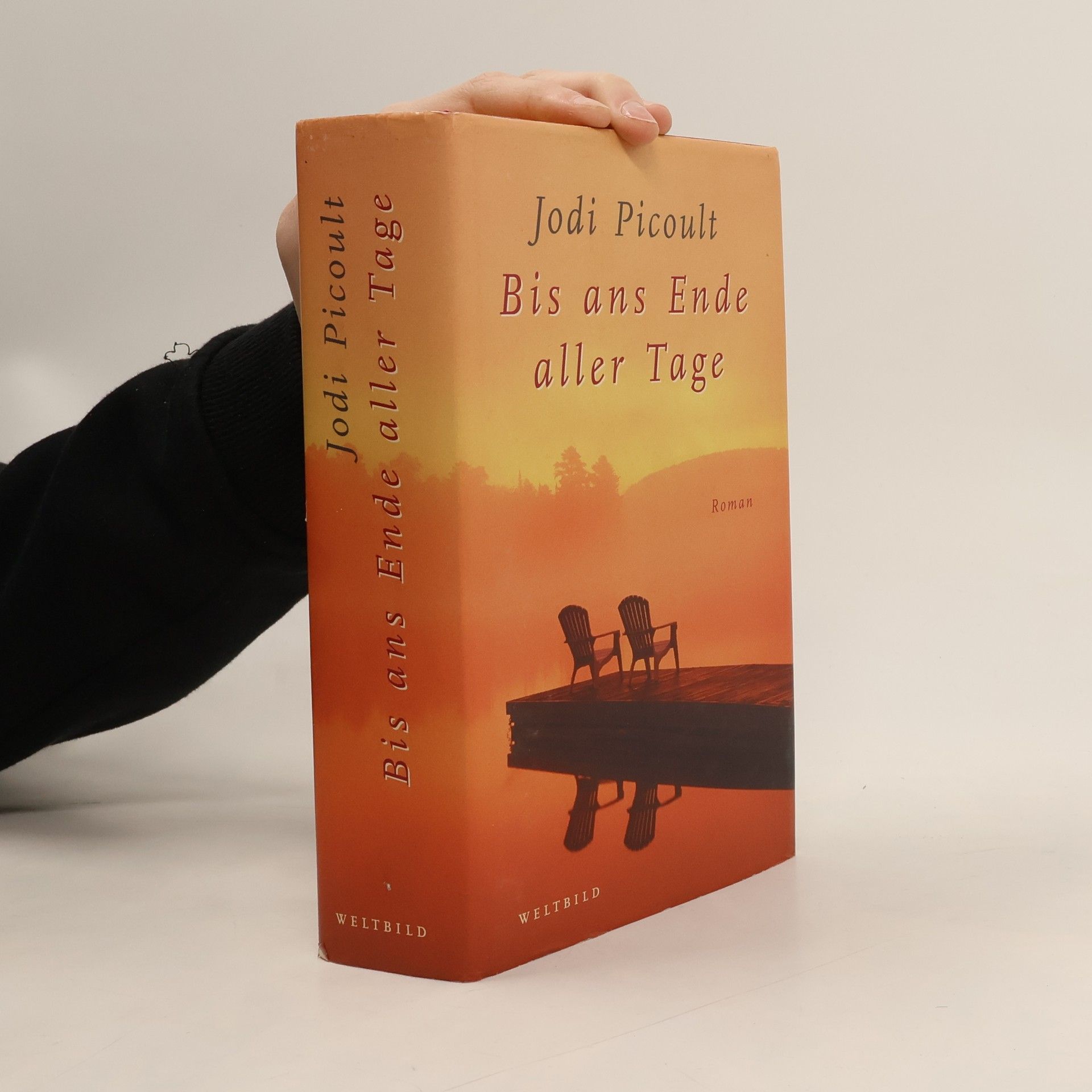 Jodi Picoult Bis ans Ende aller Tage