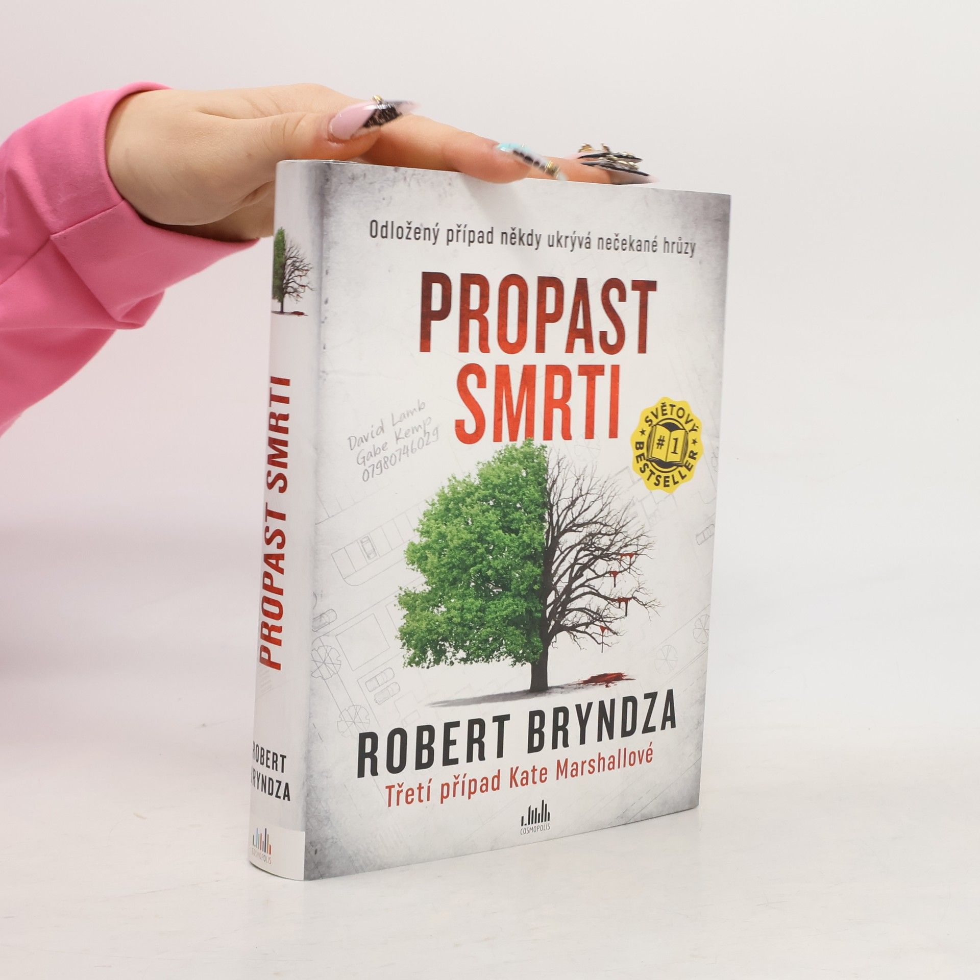 Robert Bryndza Propast smrti
