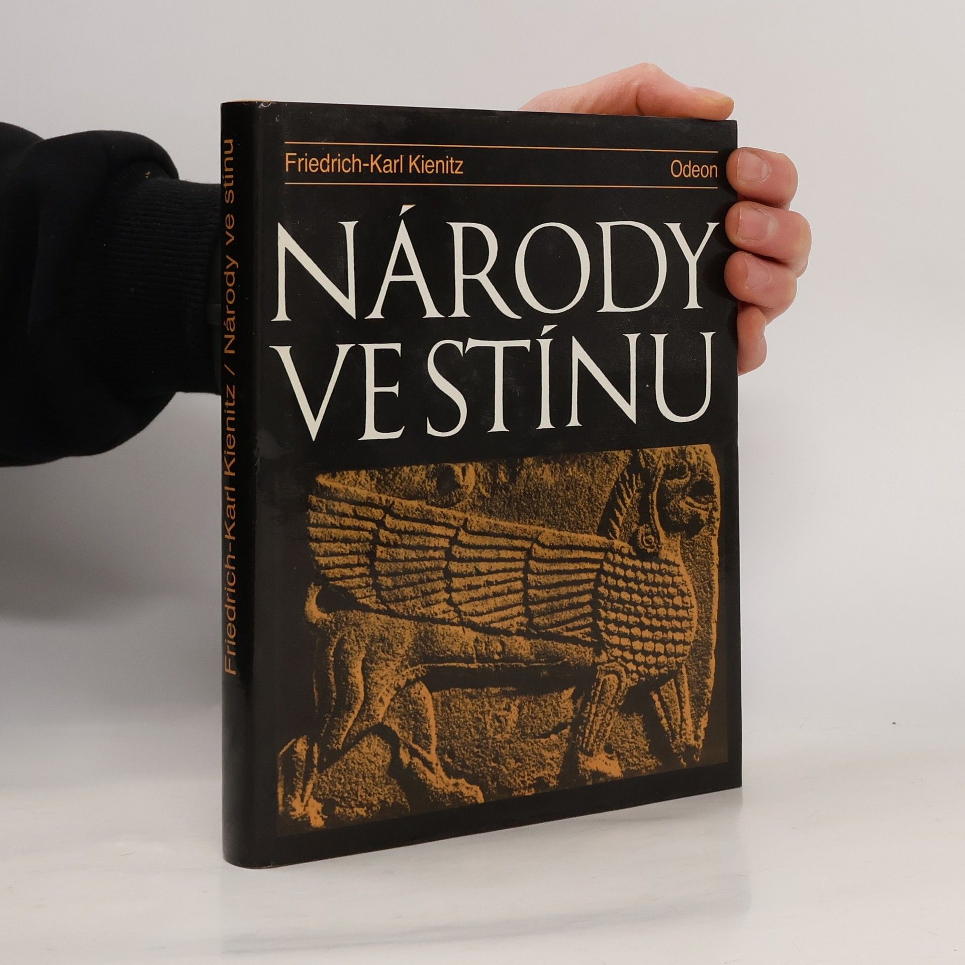 Friedrich Karl Kienitz Národy ve stínu