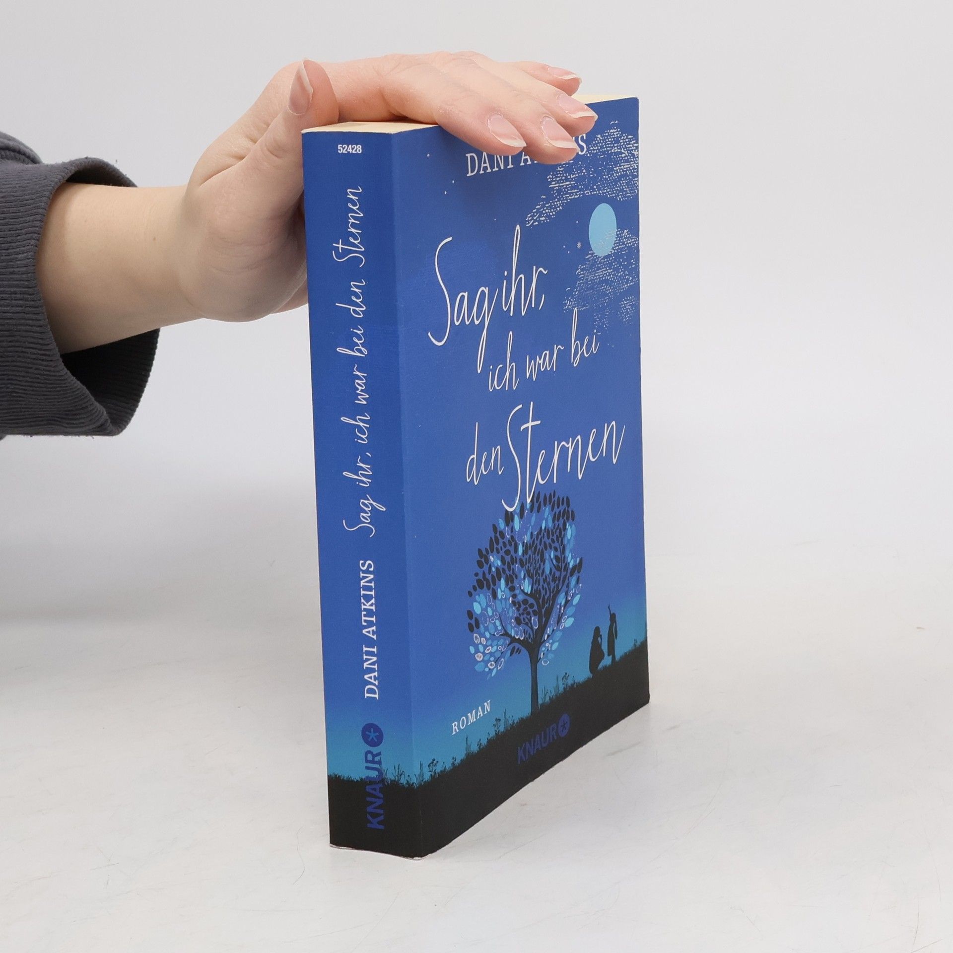 Dani Atkins Sag ihr, ich war bei den Sternen