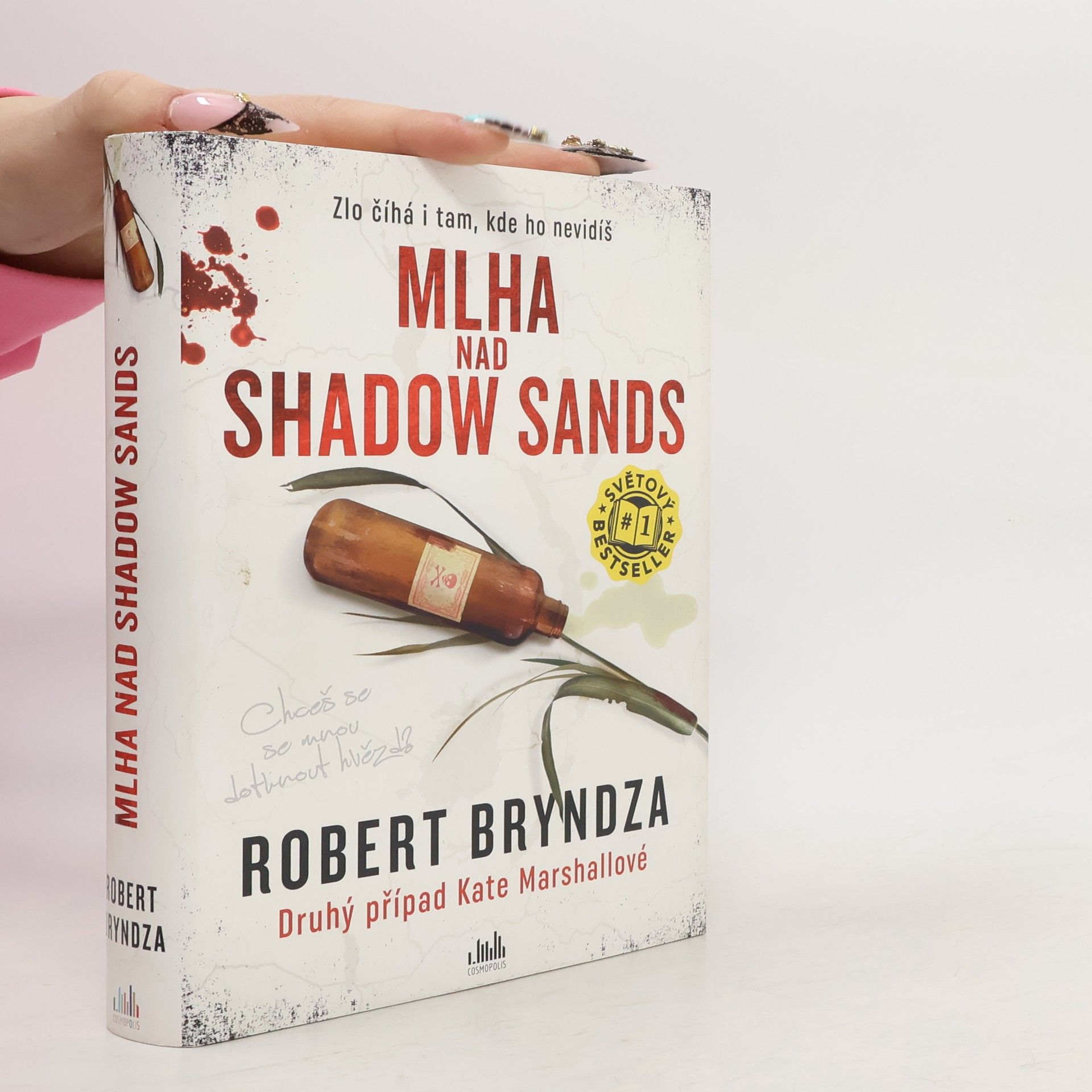 Robert Bryndza Mlha nad Shadow Sands