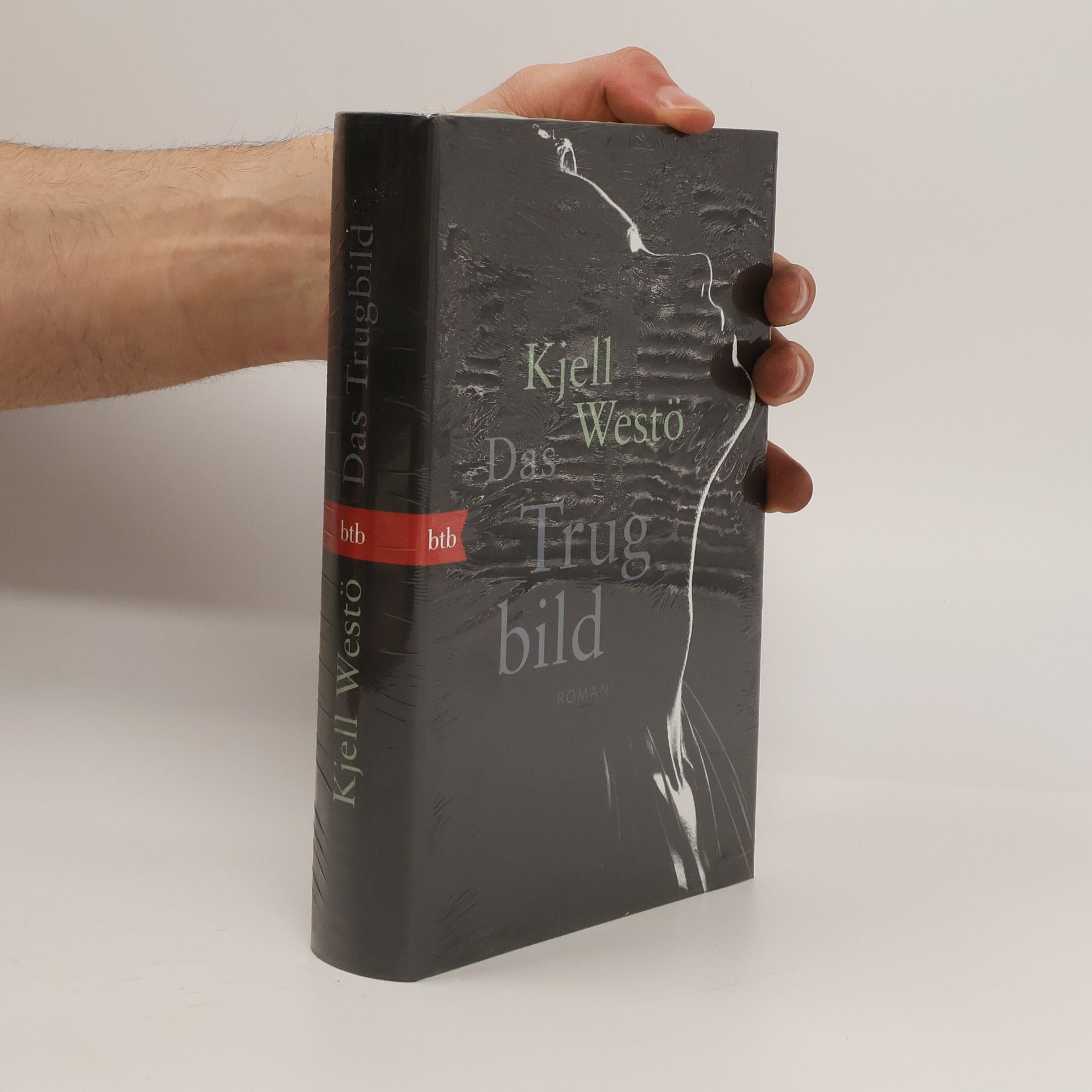 Kjell Westö Das Trug bild