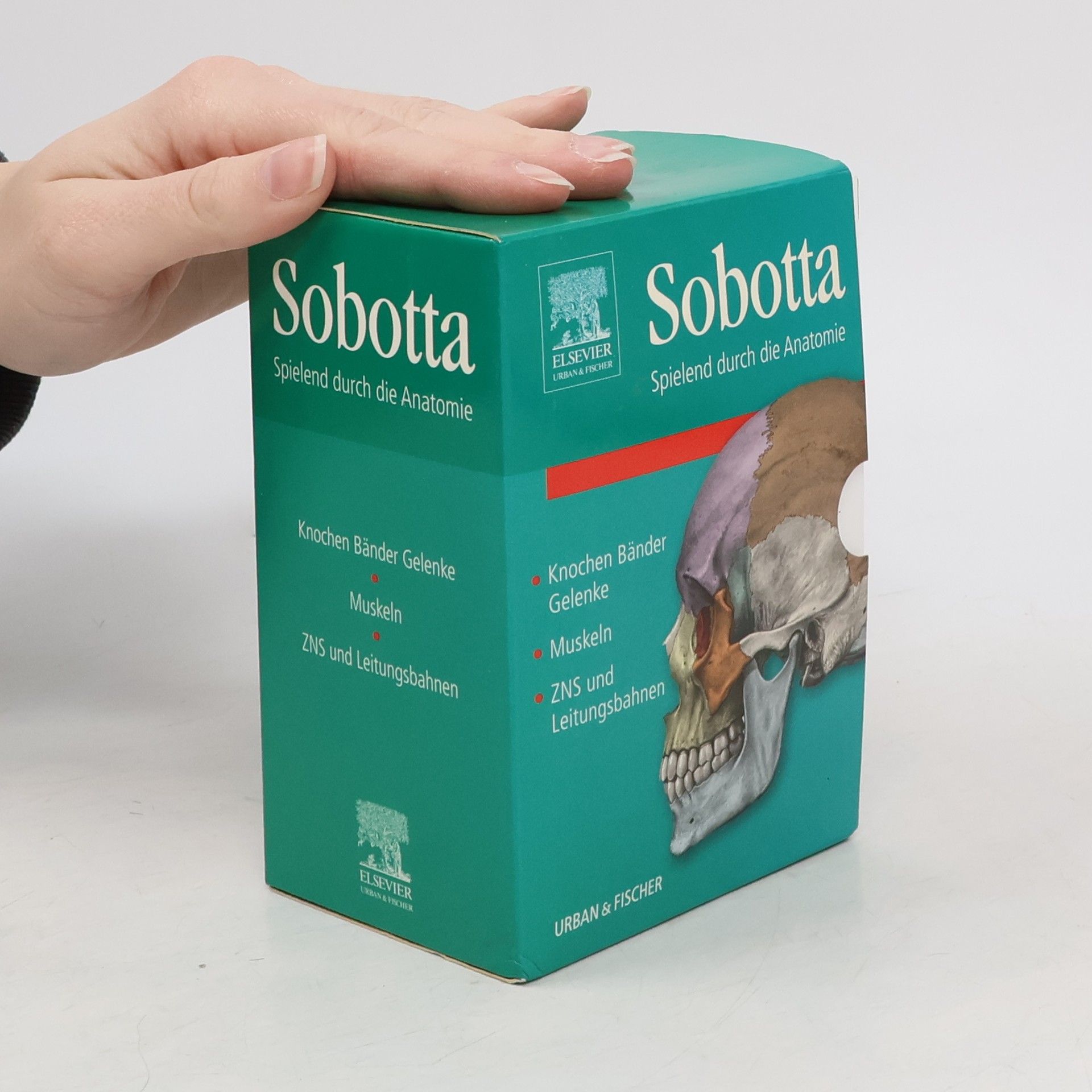 Kolektív autorov Sobotta Spielend durch die Anatomie