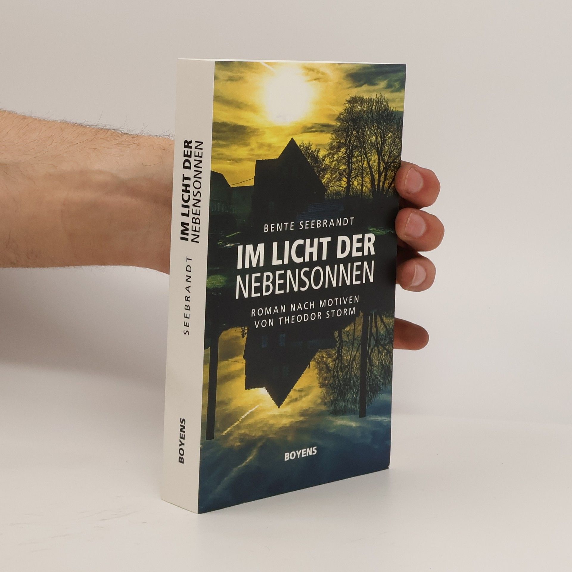 Bente Seebrandt Im Licht der Nebensonnen