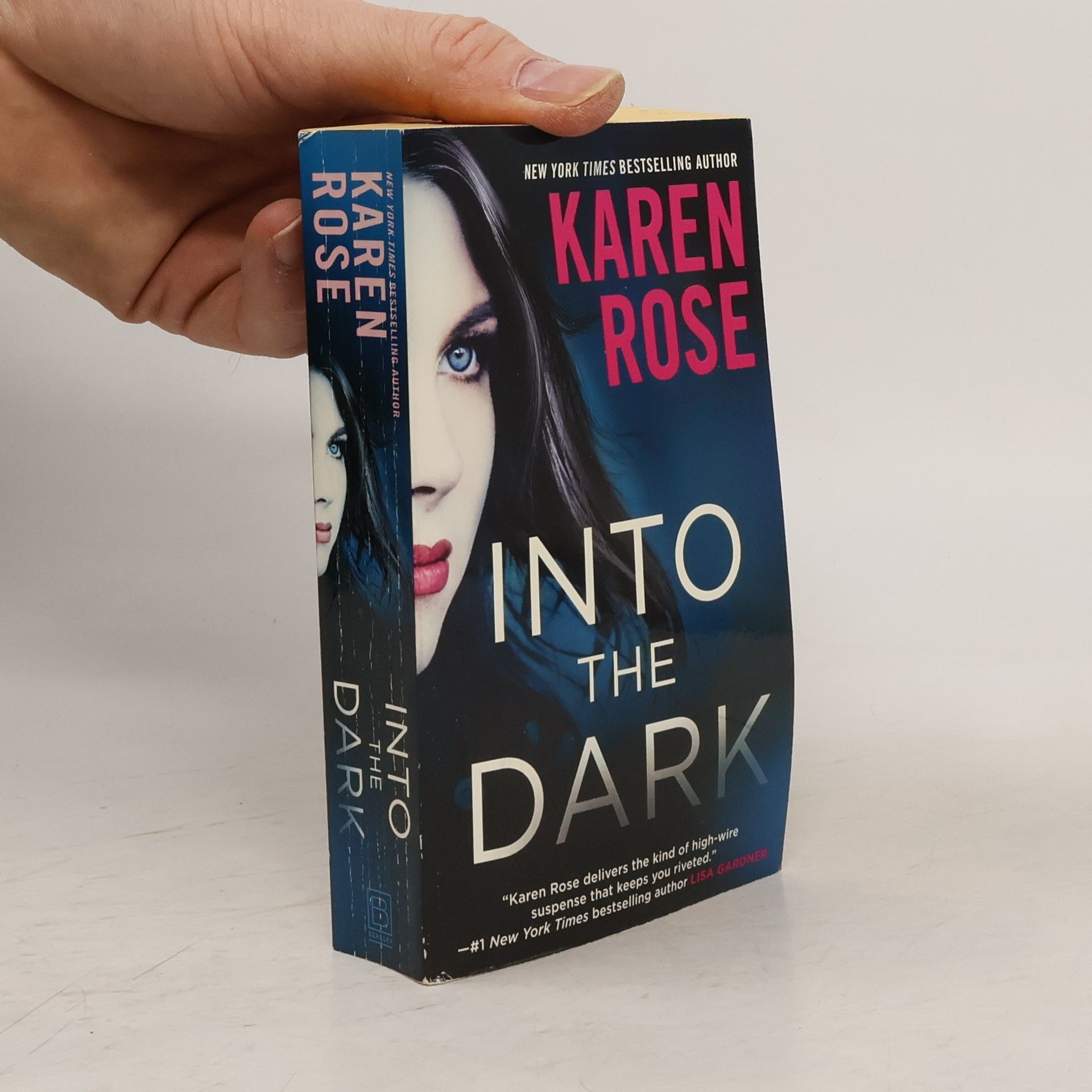 Karen Rose Into the Dark