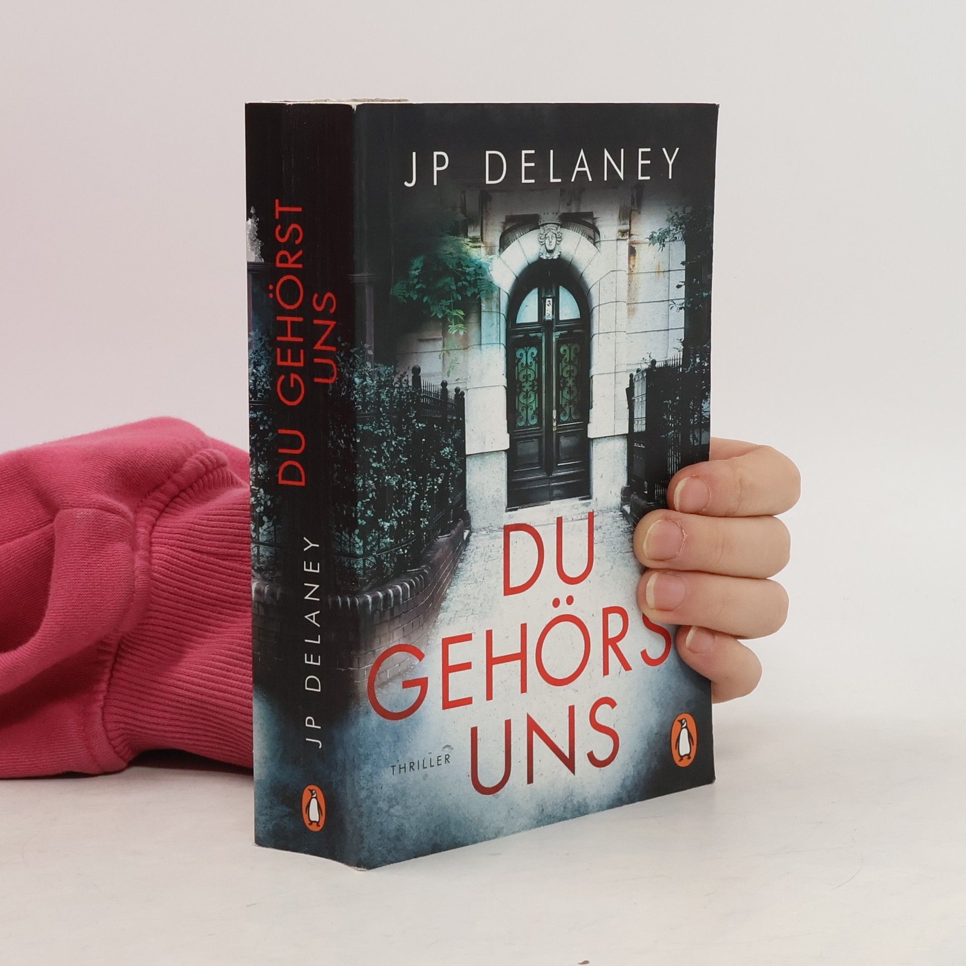 J. P. Delaney Du gehörst uns