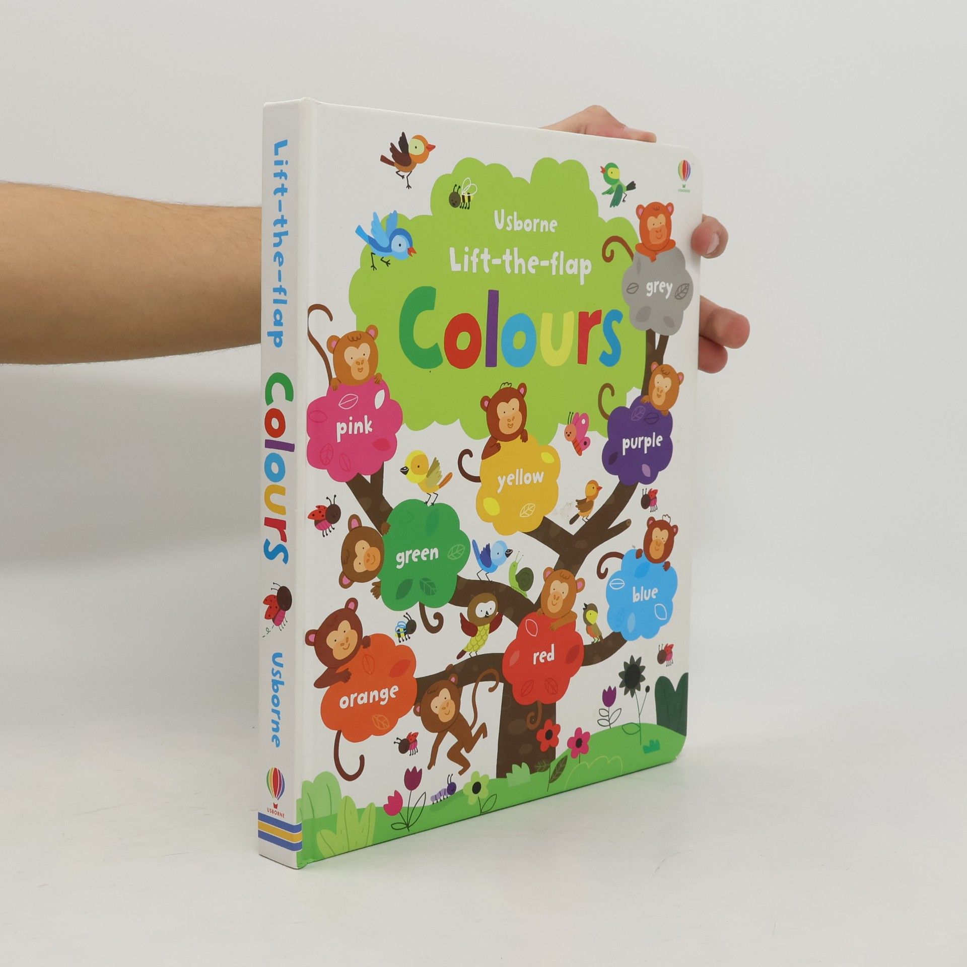 Felicity Brooks Usborne Lift-the-flap Colours