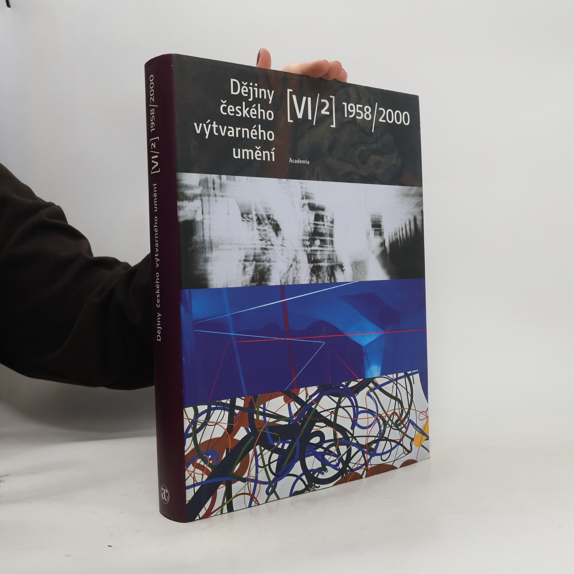 Collectif d'auteurs Dějiny českého výtvarného umění. Díl VI/2