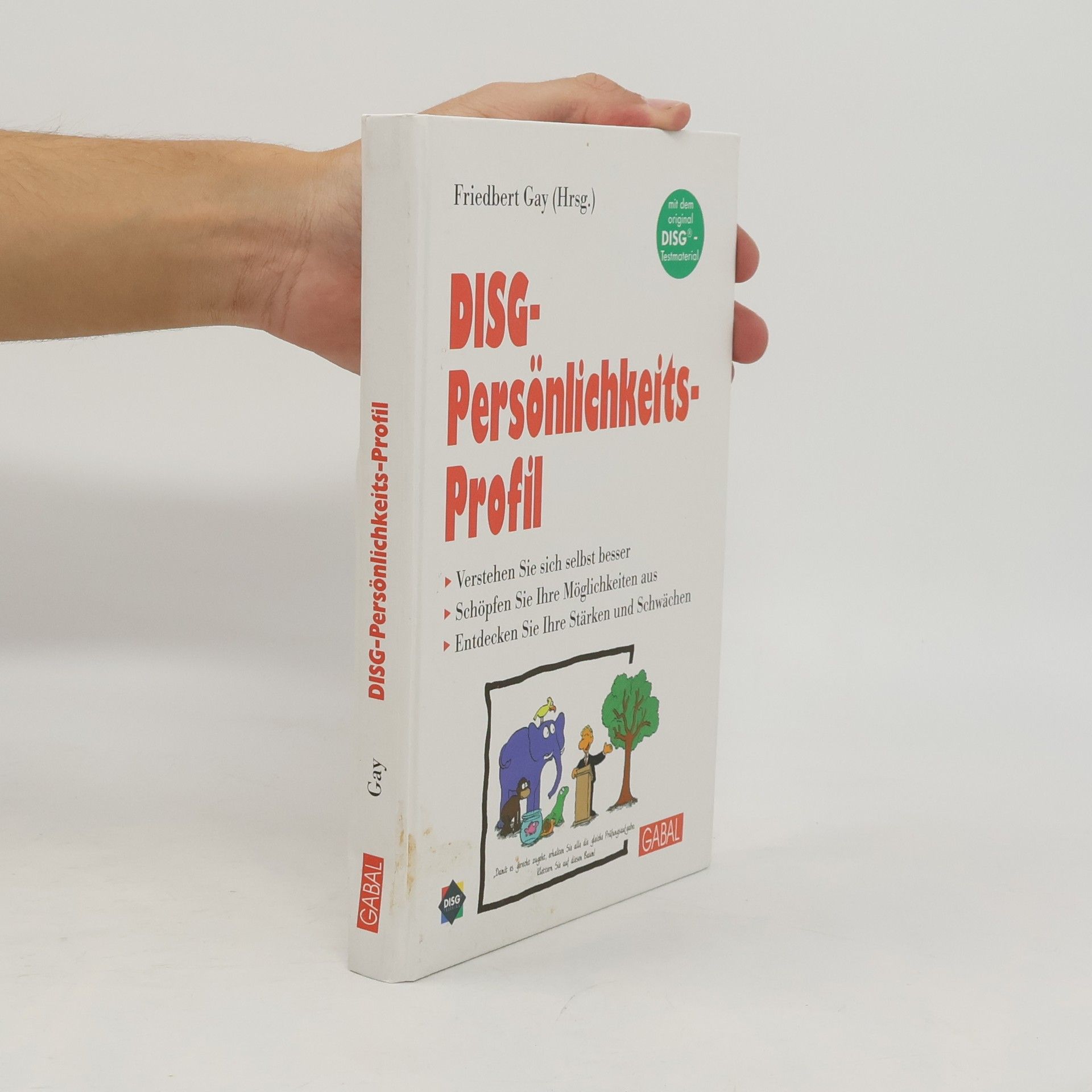 Friedbert Gay DISG-Persönlichkeits-Profil