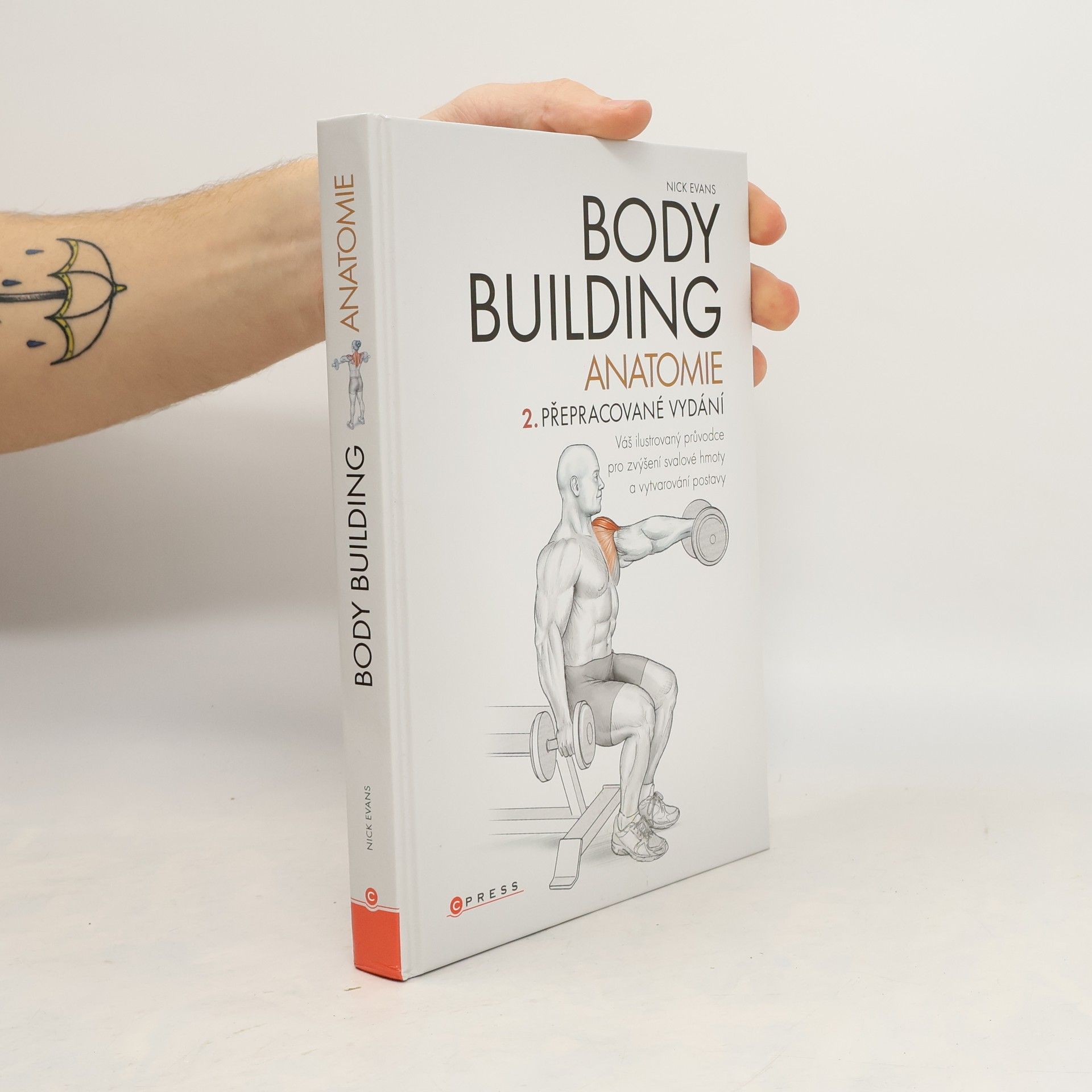 Bodybuilding - anatomie