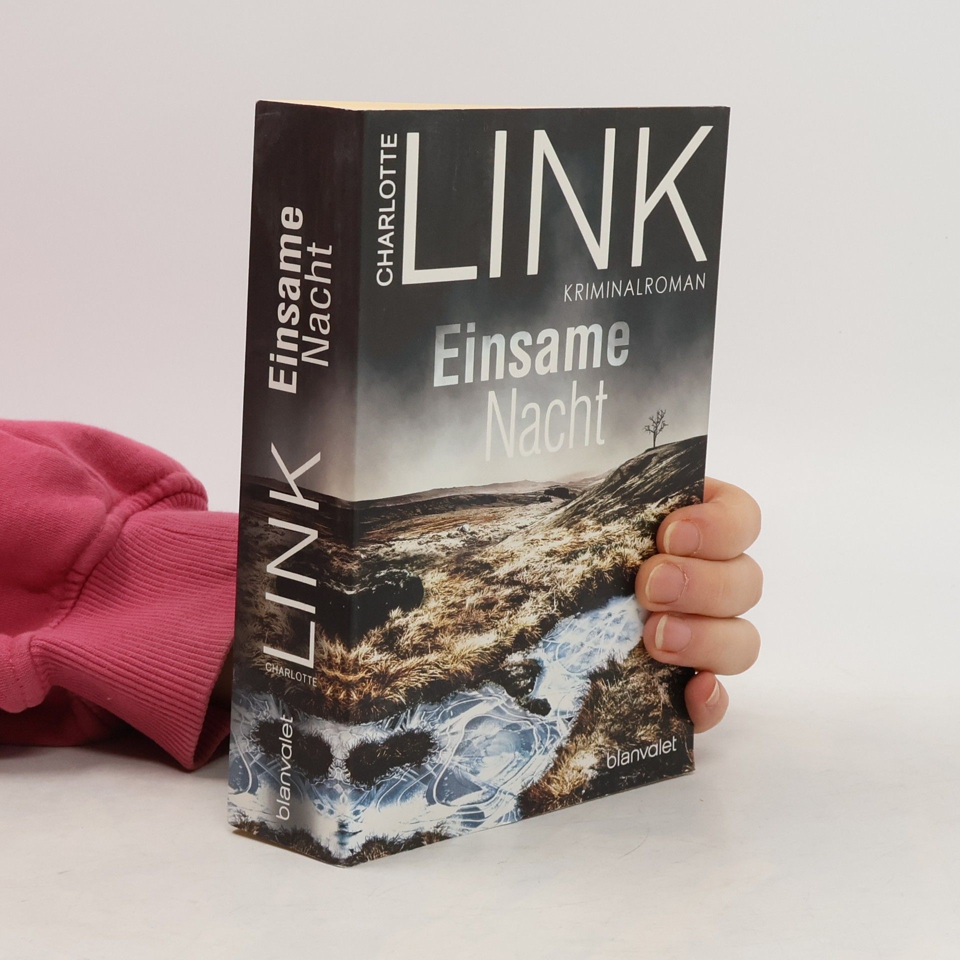 Charlotte Link Einsame Nacht