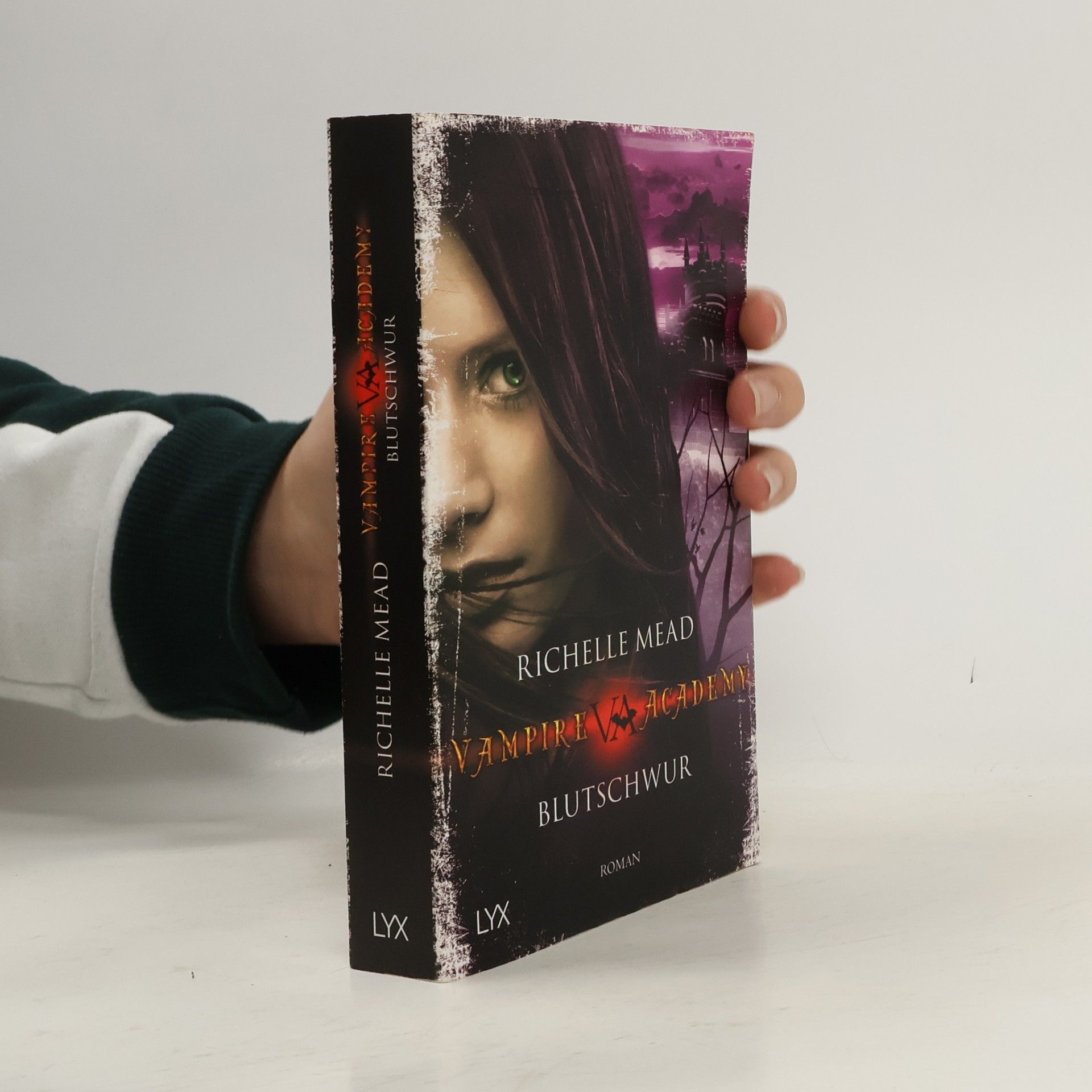 Richelle Mead Vampire Academy. Blutschwur