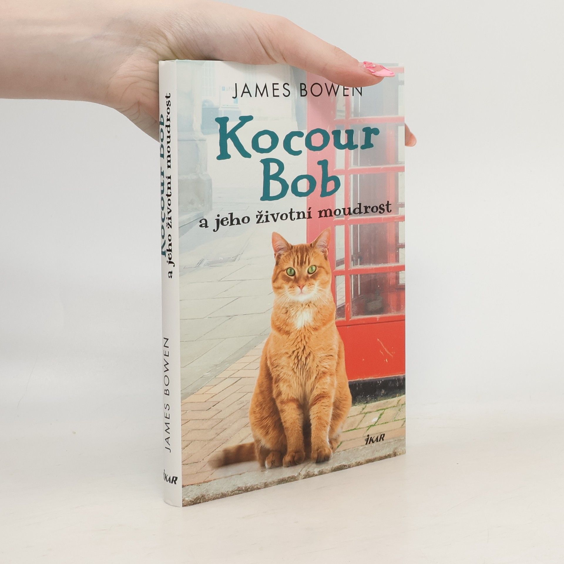 James Bowen Kocour Bob a jeho životní moudrost