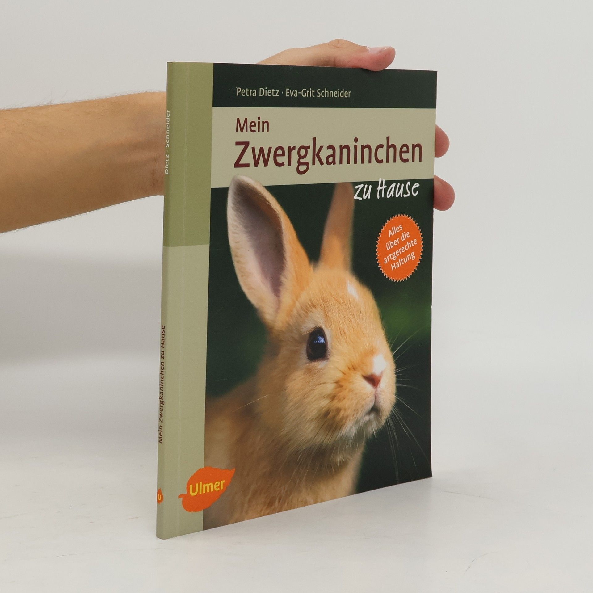 Petra Dietz Mein Zwergkaninchen zu Hause