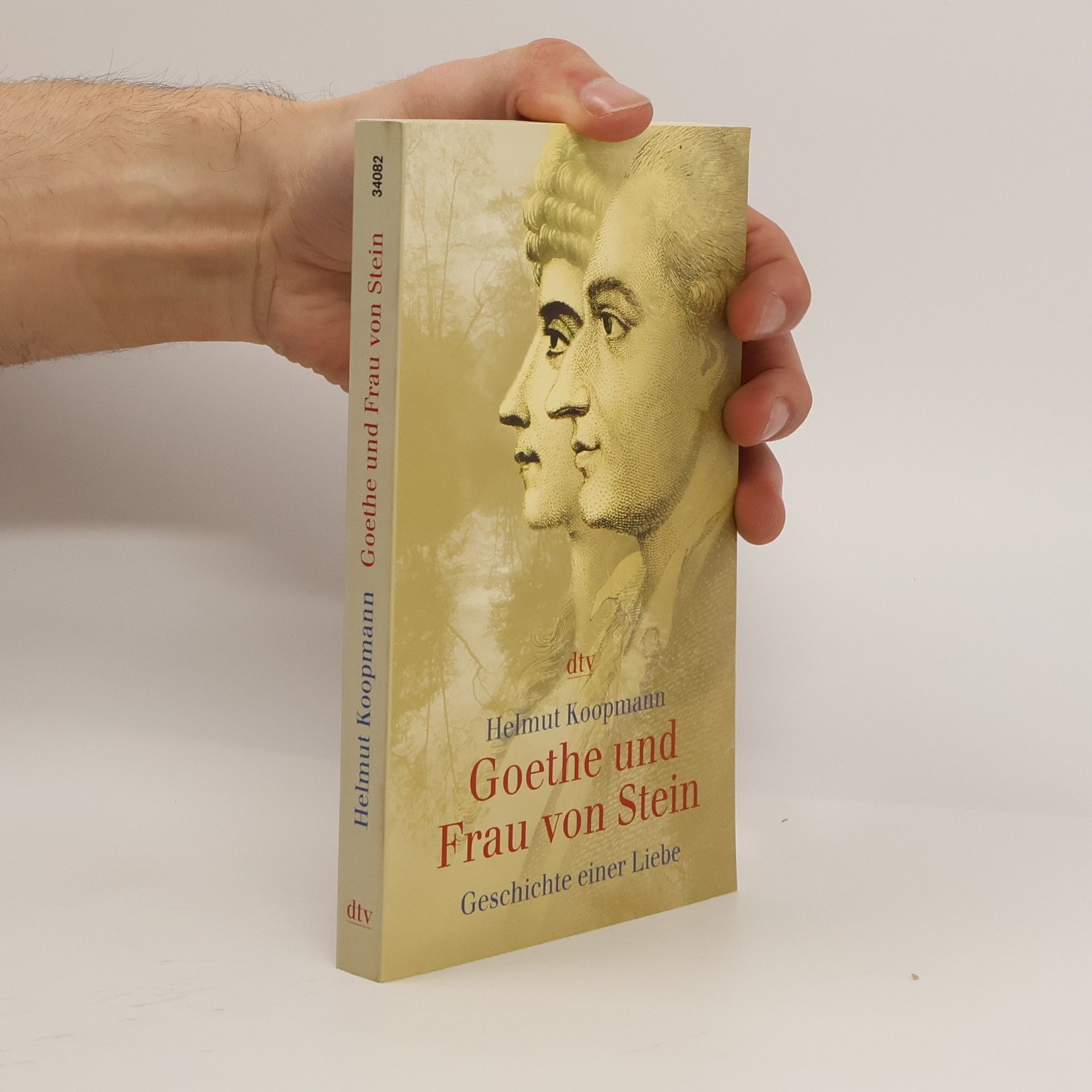 Helmut Koopmann Goethe und Frau von Stein