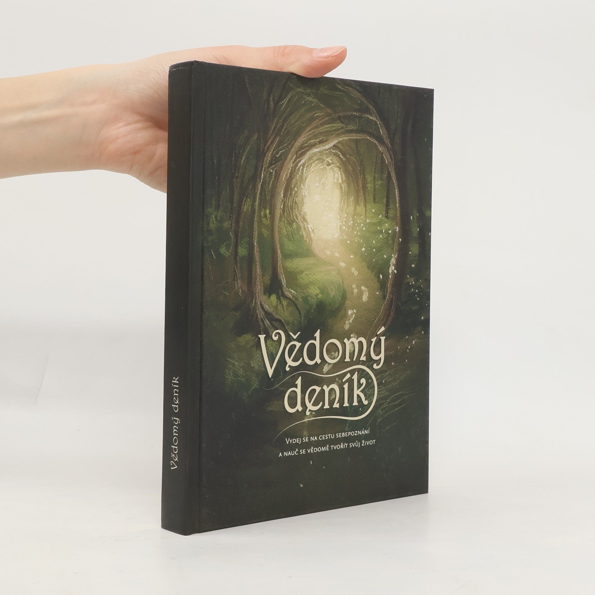 Kolektiv autorů Vědomý deník