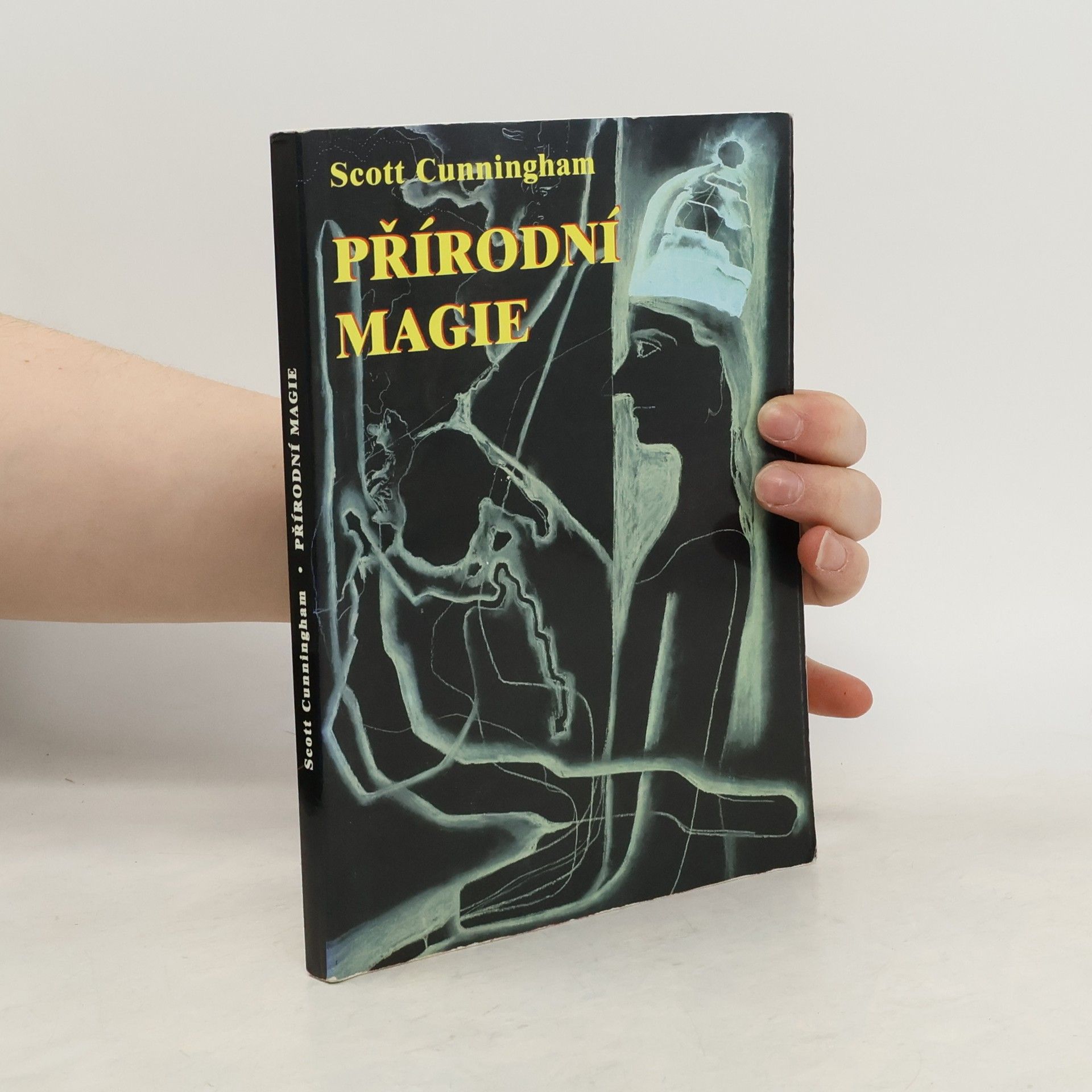 Scott Cunningham Přírodní magie : (Země, vzduch, oheň a voda)