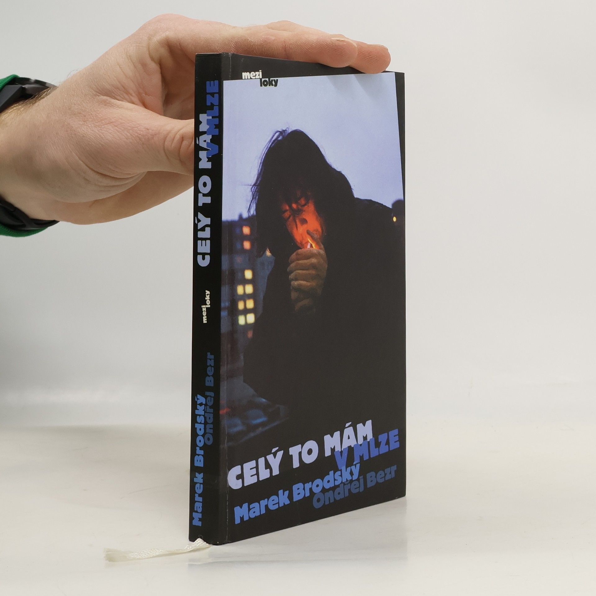 Celý to mám v mlze