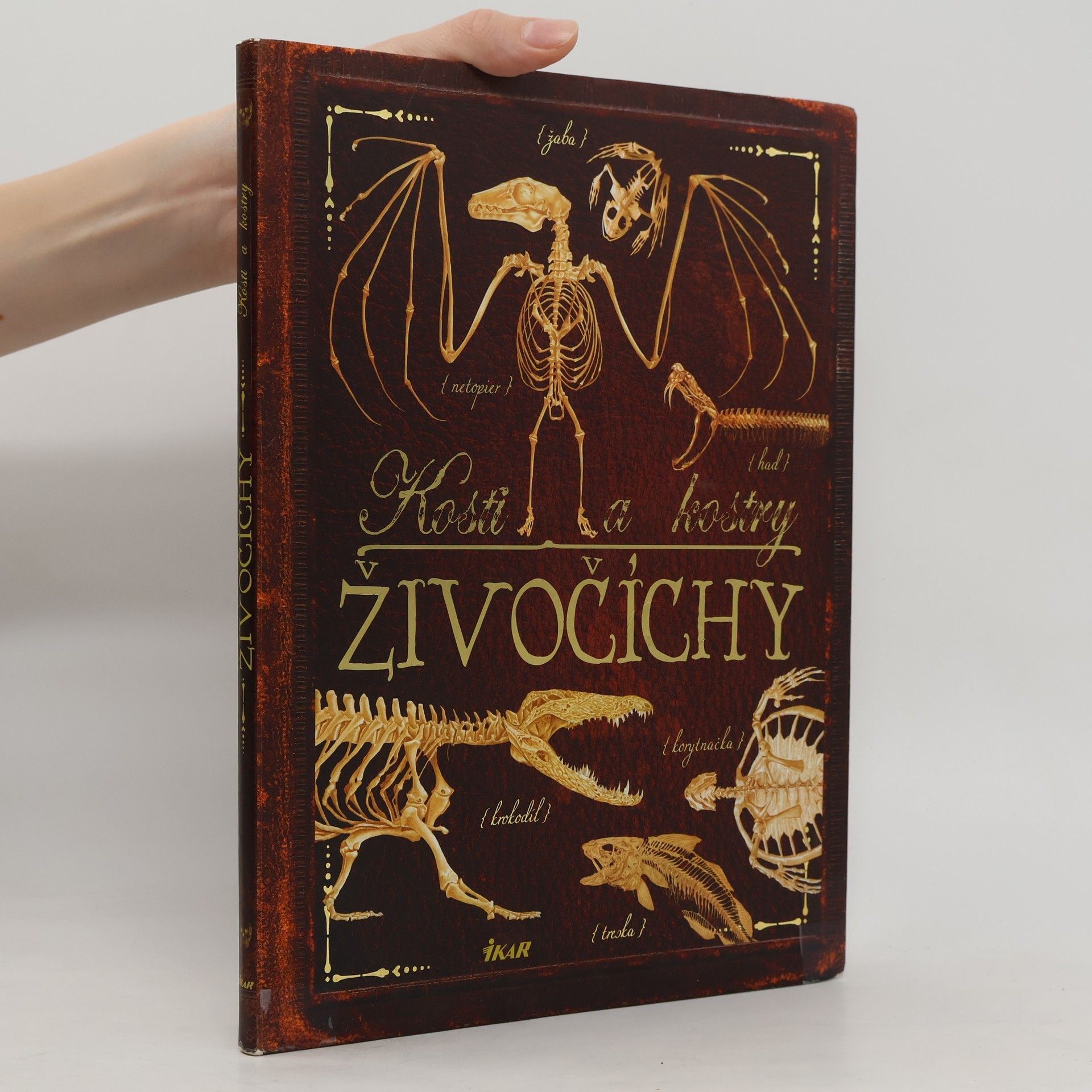 Autores varios Kosti a kostry. Živočíchy