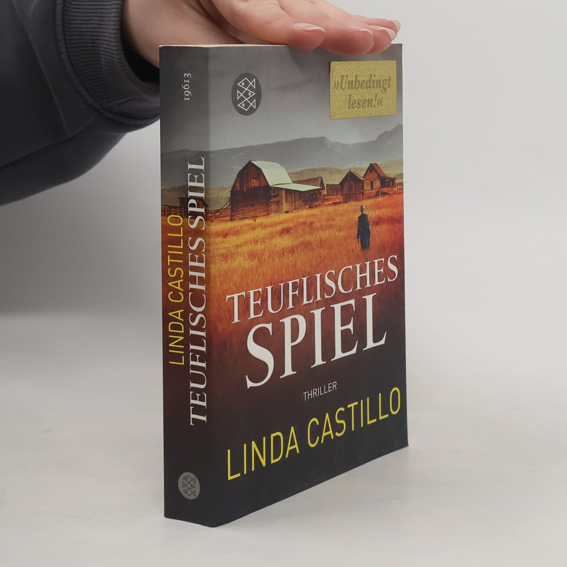 Linda Castillo Teuflisches Spiel