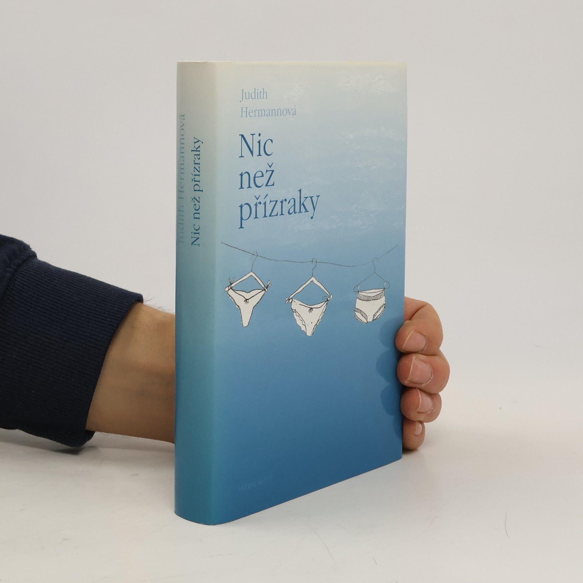 Judith Hermann Nic než přízraky : povídky