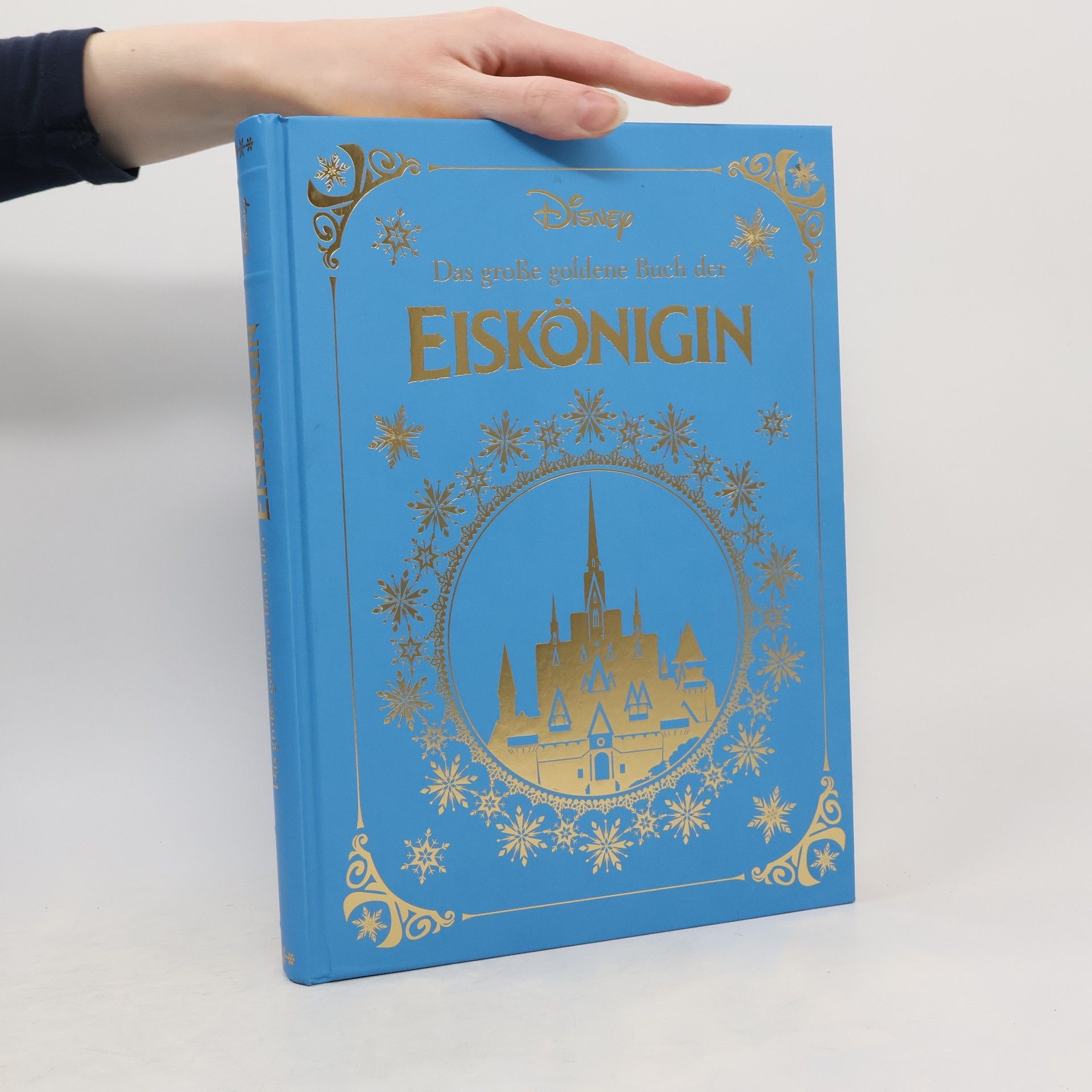Autorenkollektiv Das grosse goldene Buch der Eiskönigin