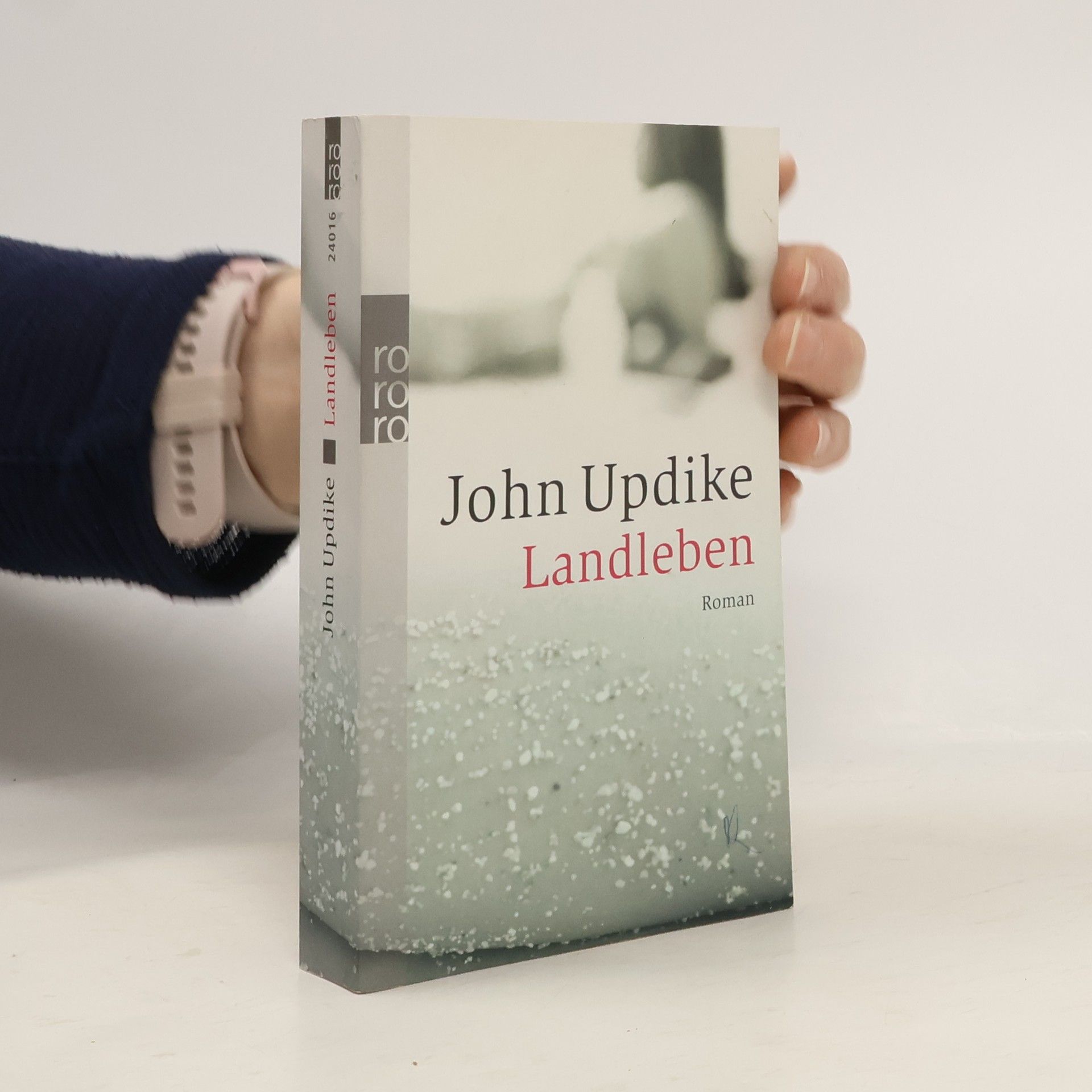 John Updike Landleben: Roman