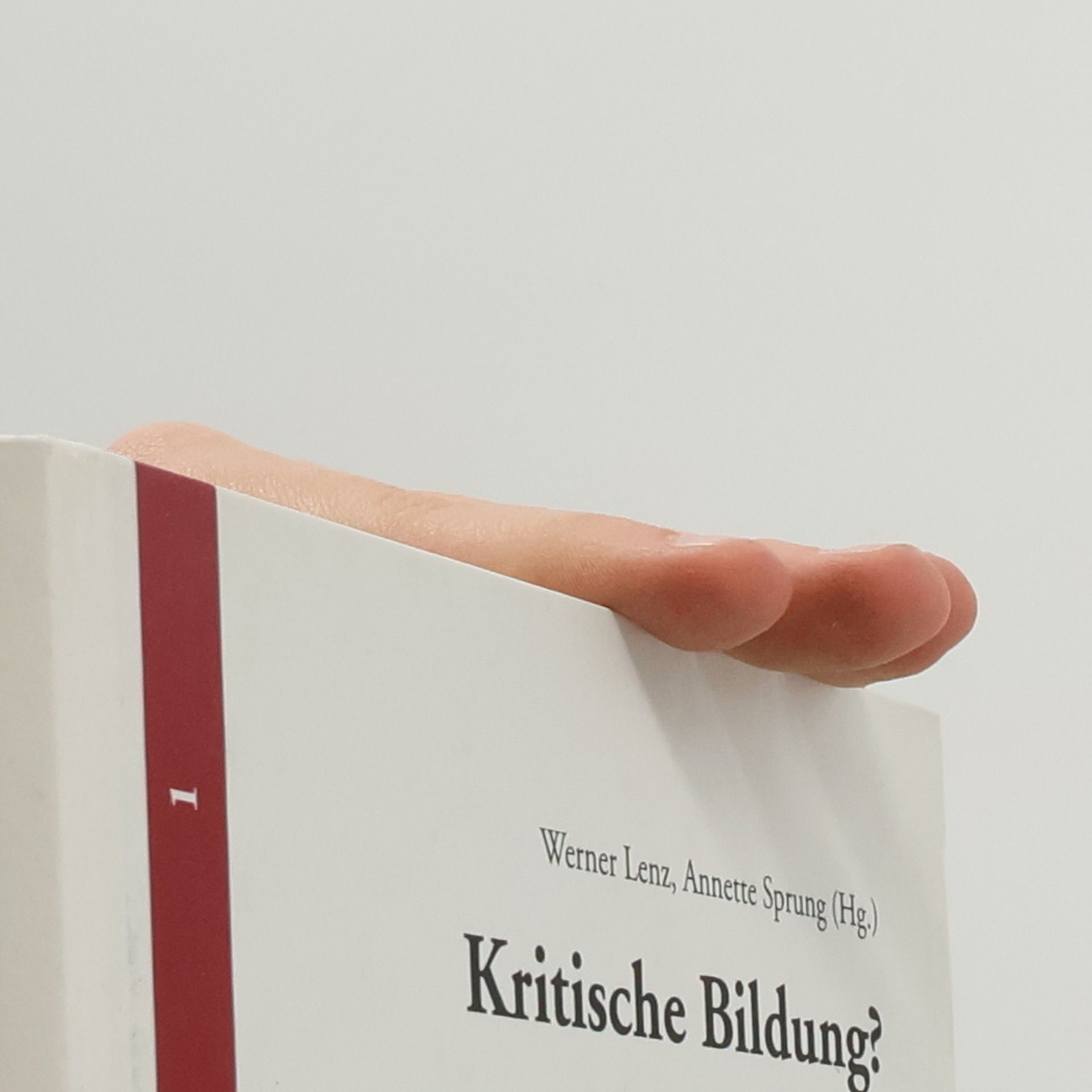 Werner Lenz Kritische Bildung?