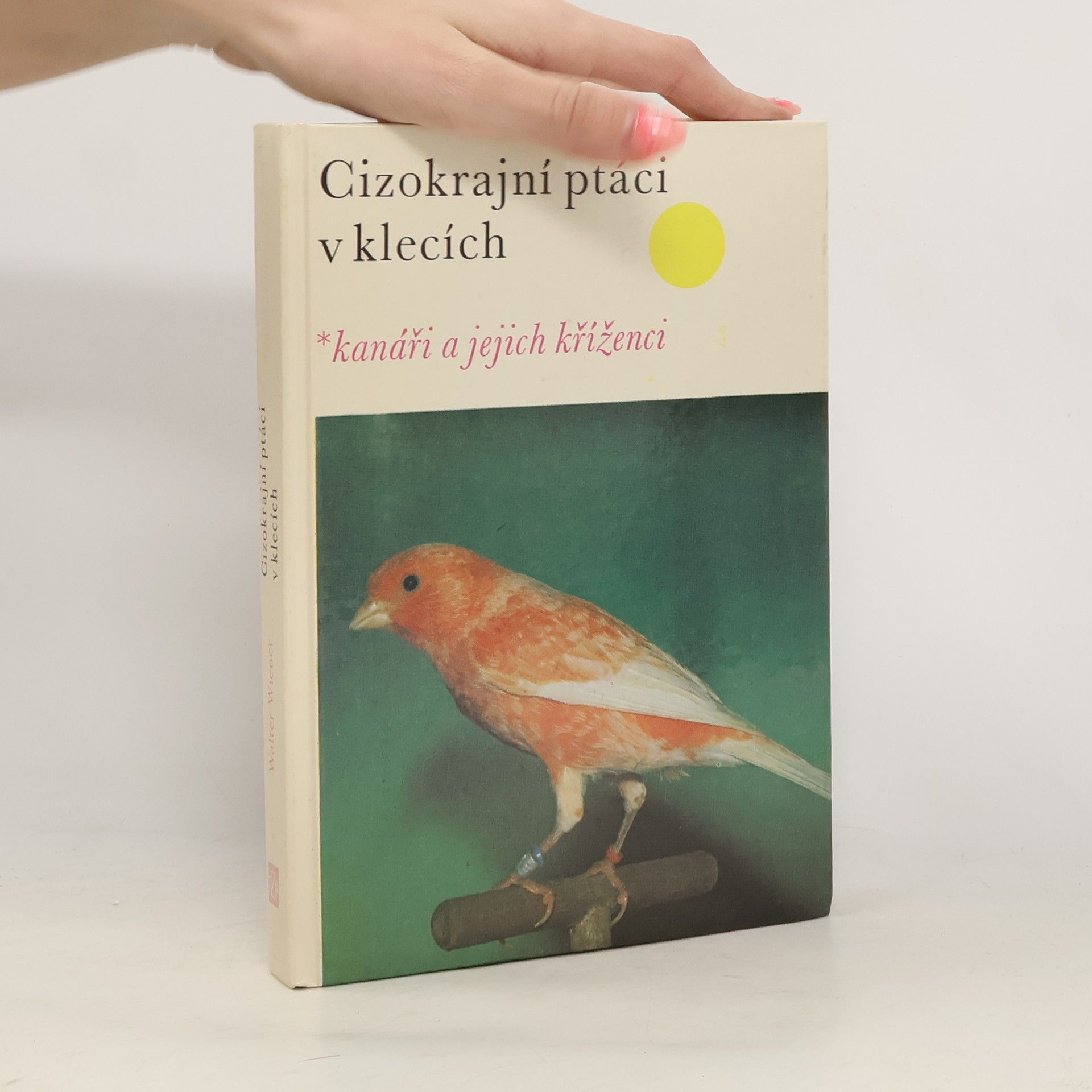 Cizokrajní ptáci v klecích. Kanáři a jejich kříženci