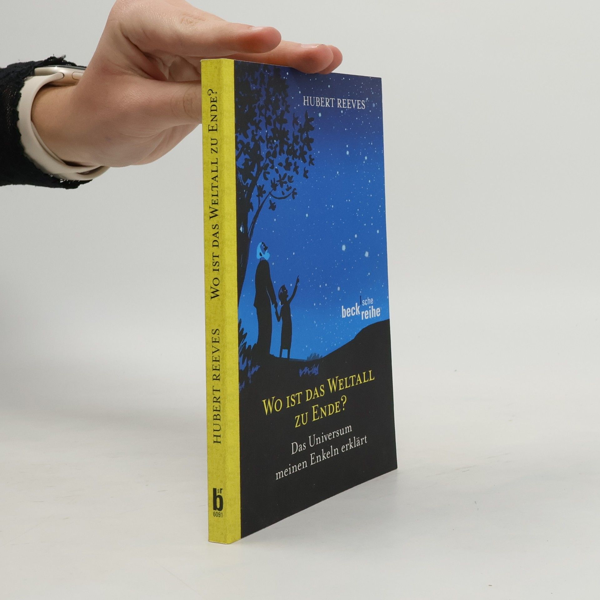 Hubert Reeves Wo ist das Weltall zu Ende?