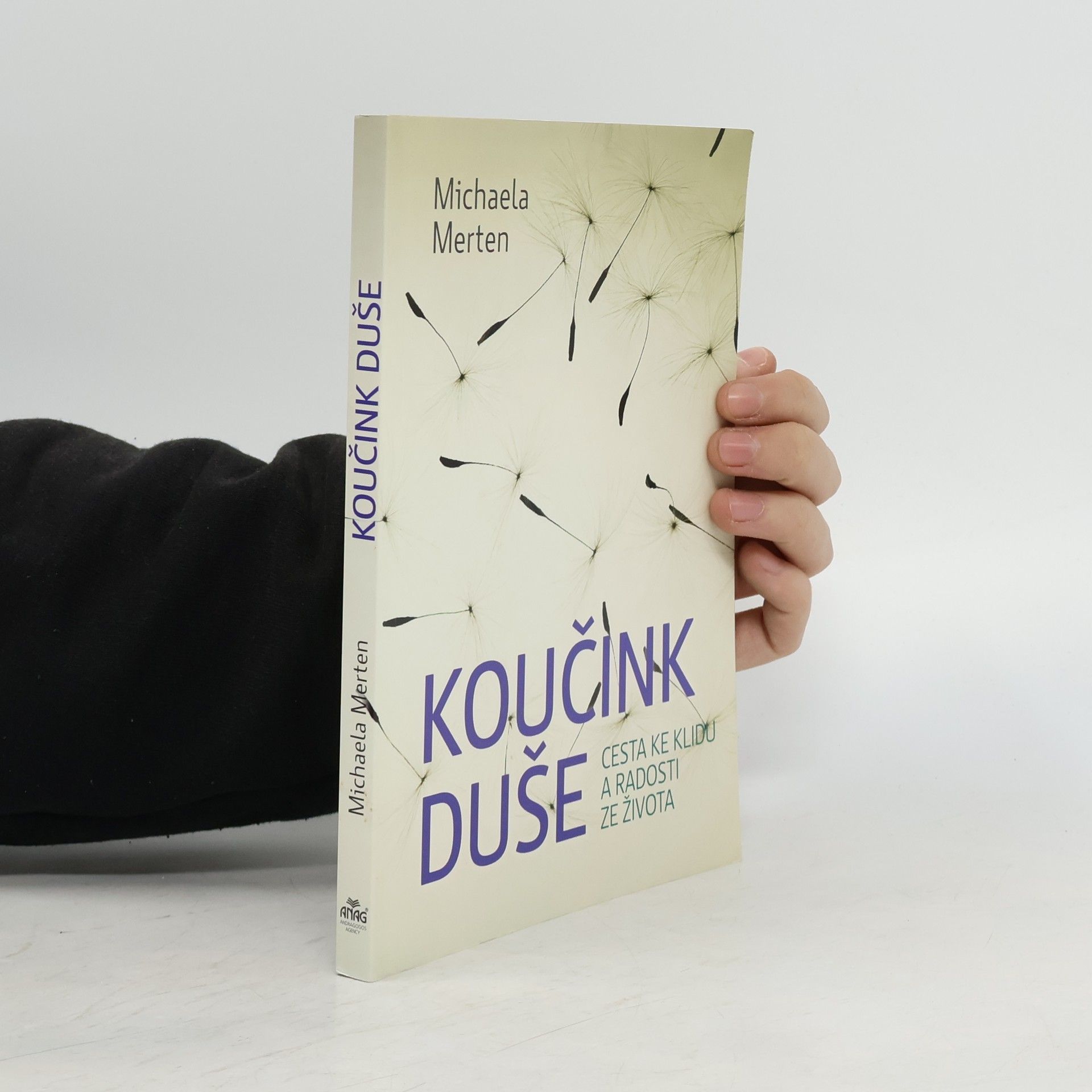 Michaela Merten Koučink duše : cesta ke klidu a radosti ze života