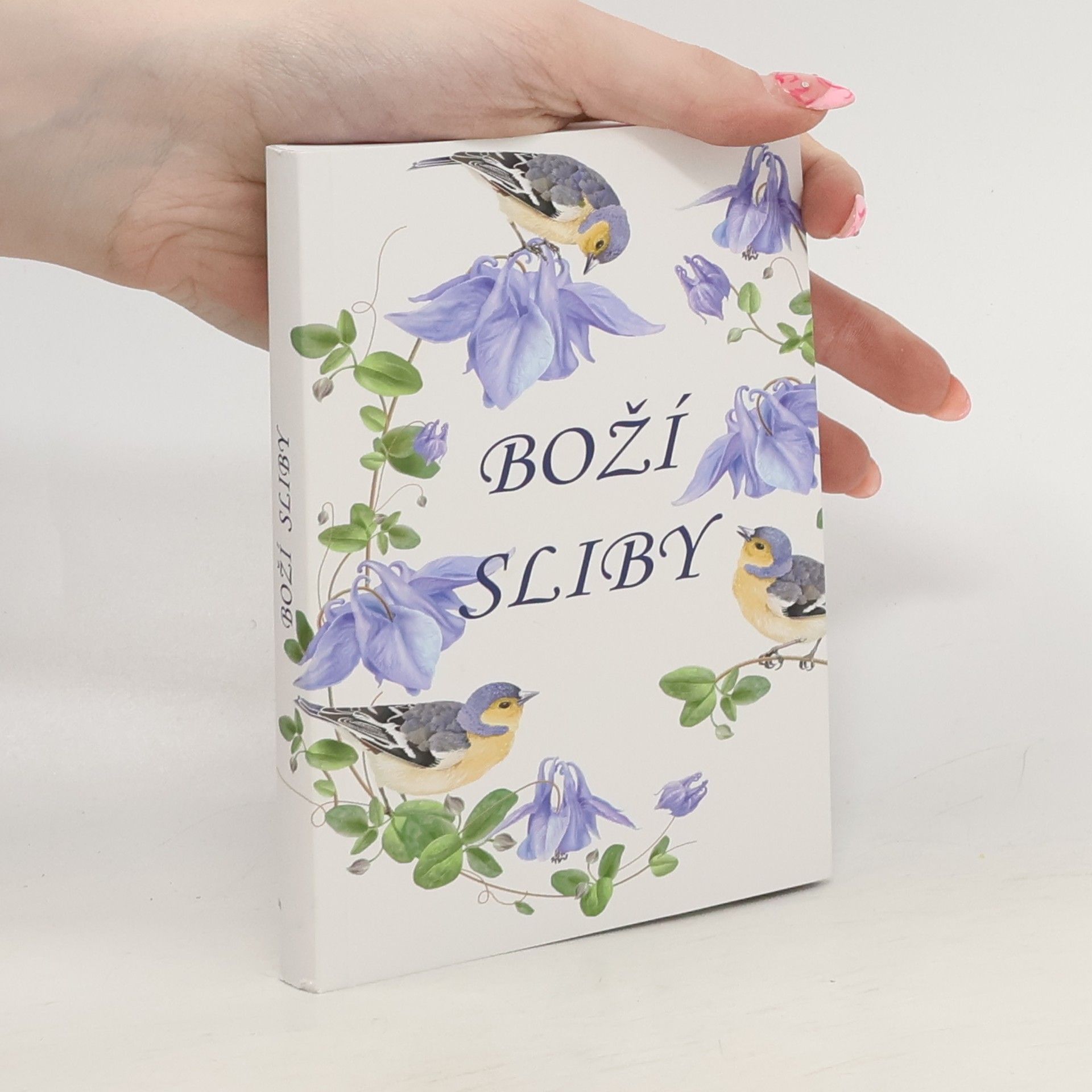 Kolektiv autorů Boží sliby