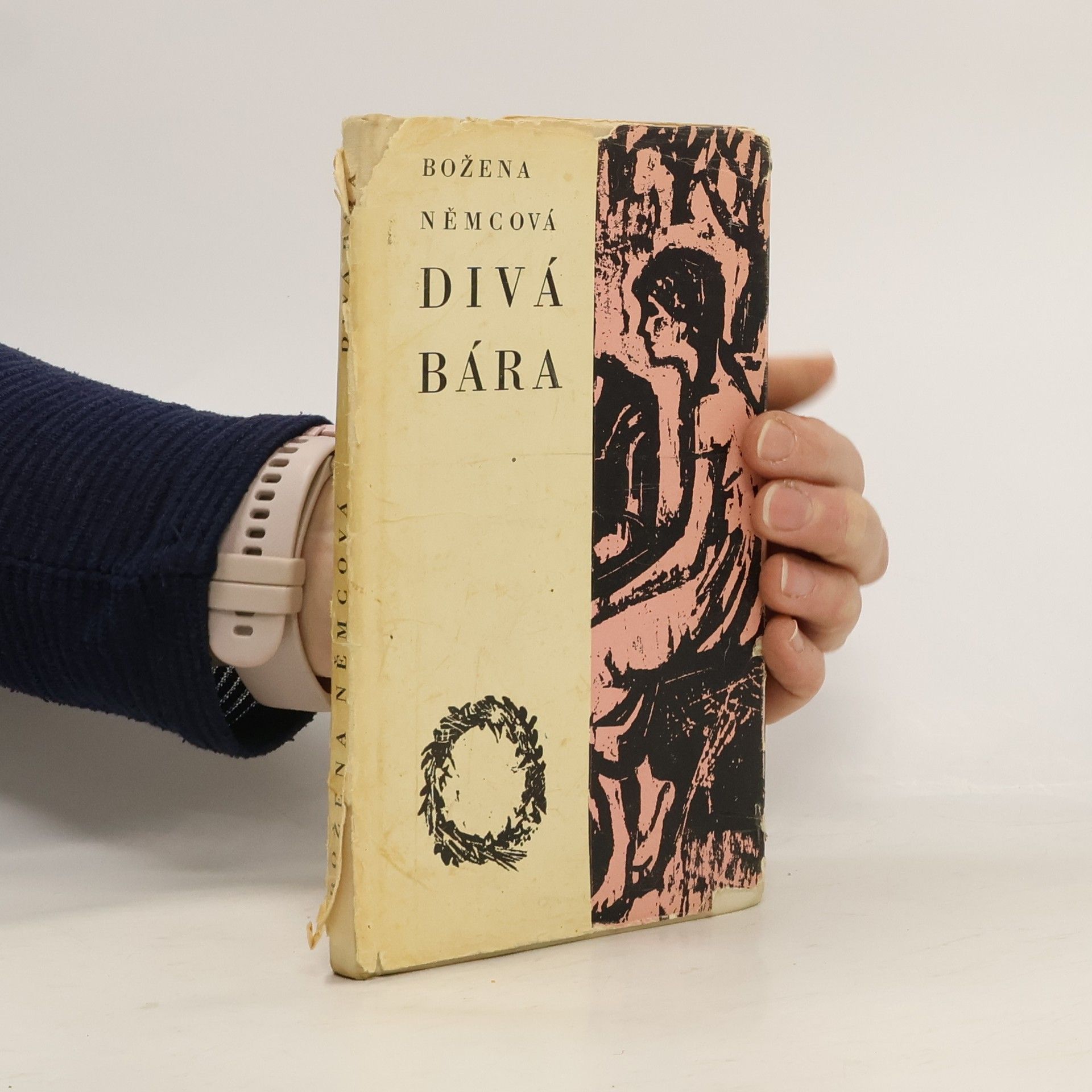 Božena Němcová Divá Bára. Karla