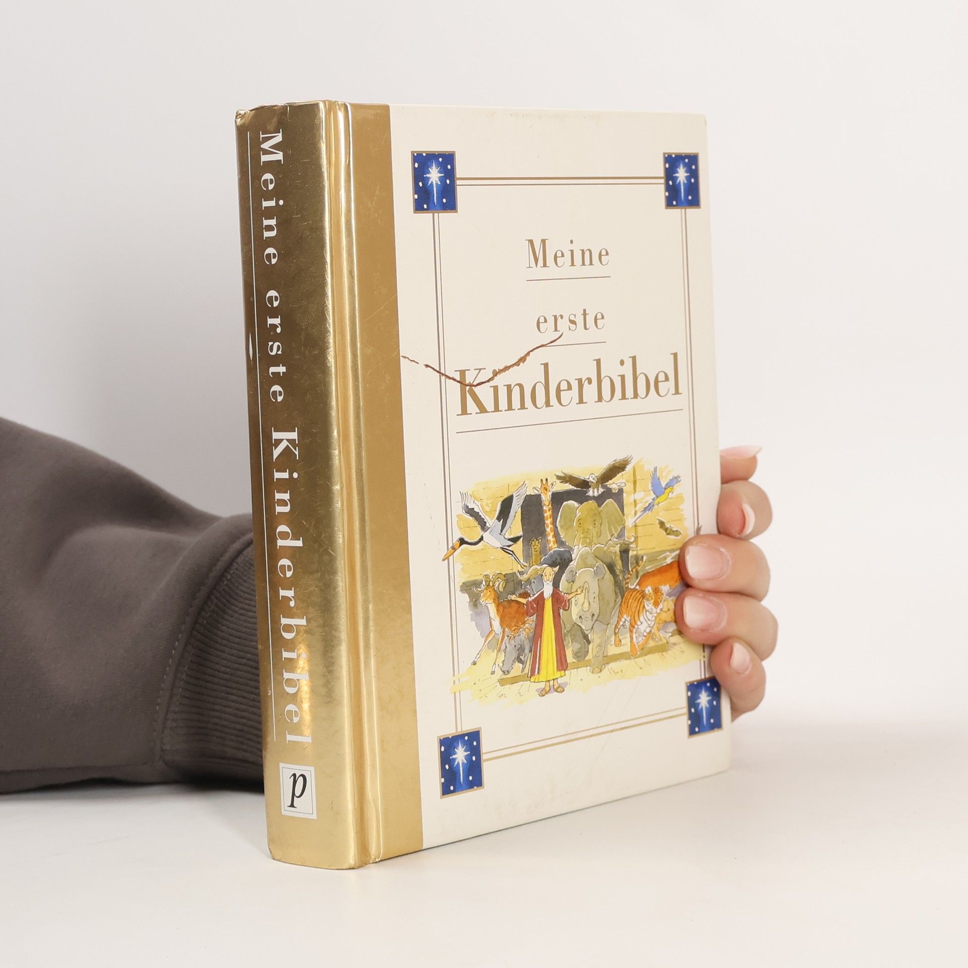 Kolektiv autorů Meine erste Kinderbibel