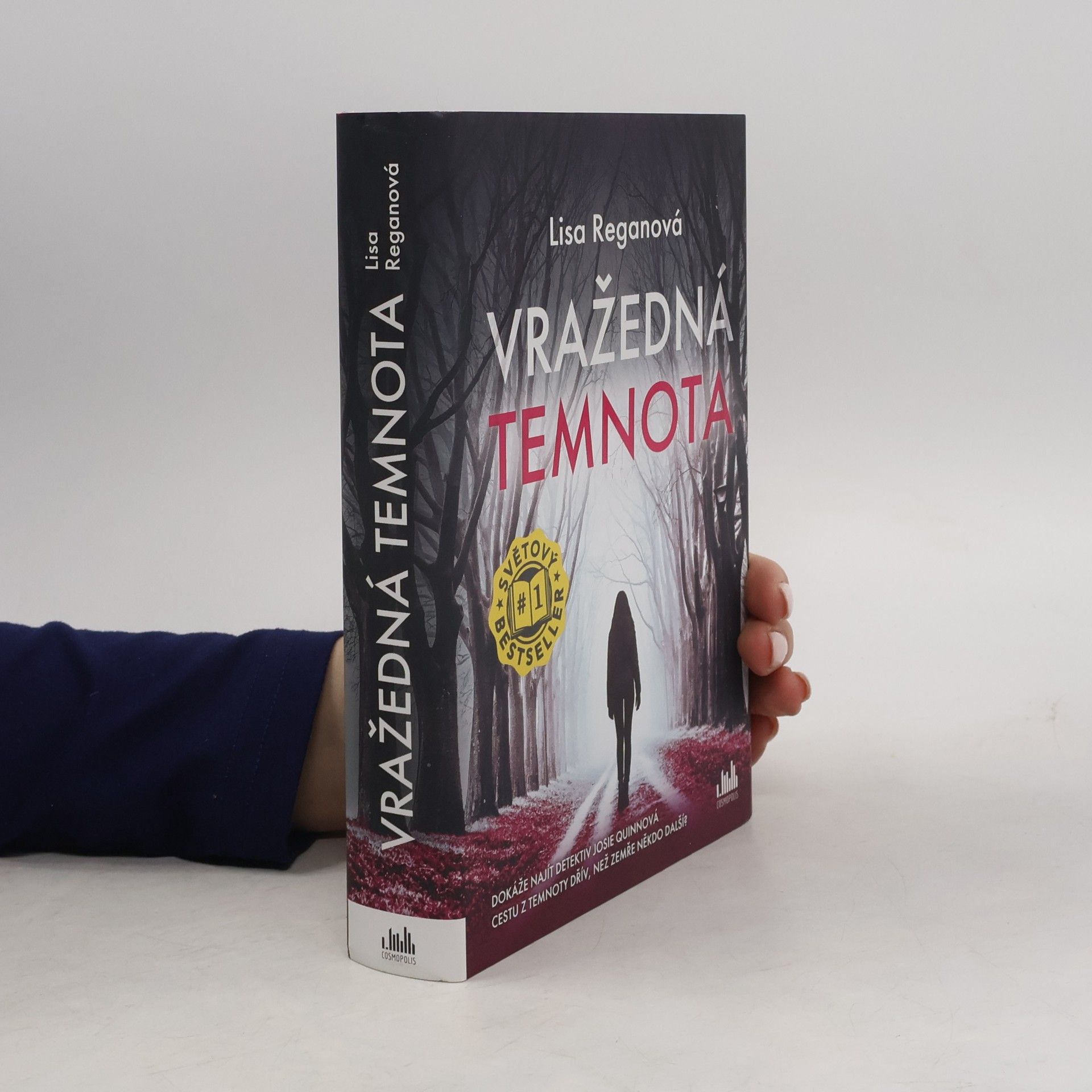 Lisa Regan Vražedná temnota