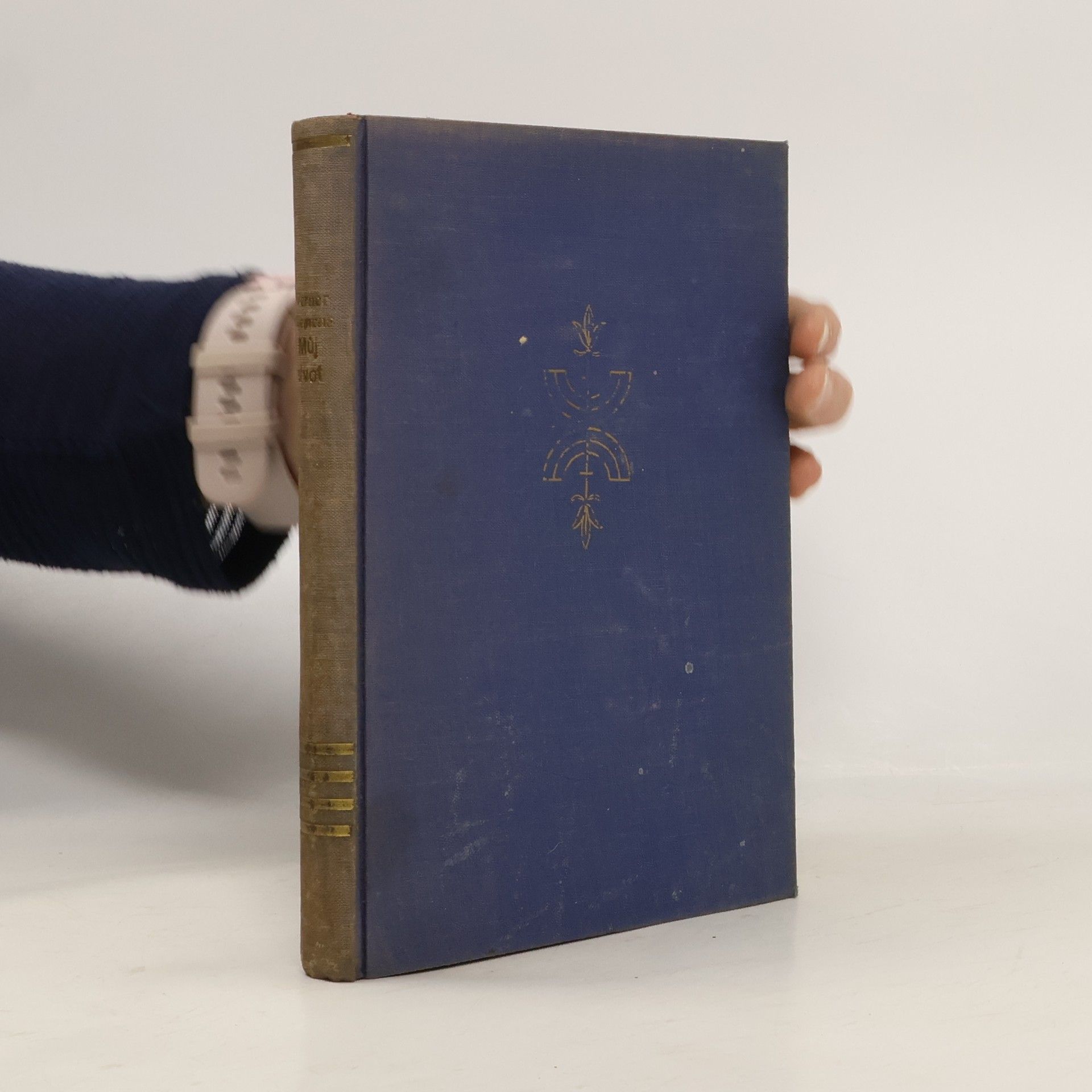 Můj život : vývoj Siemensových závodů