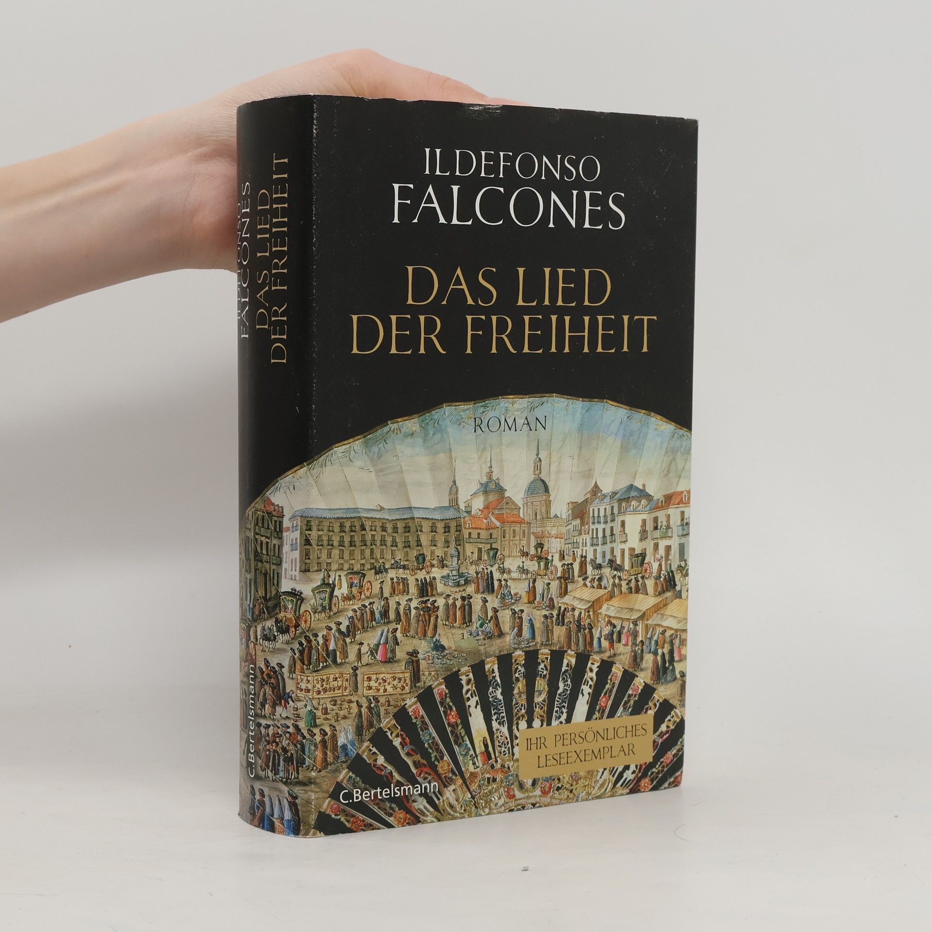 Ildefonso Falcones Das Lied der Freiheit