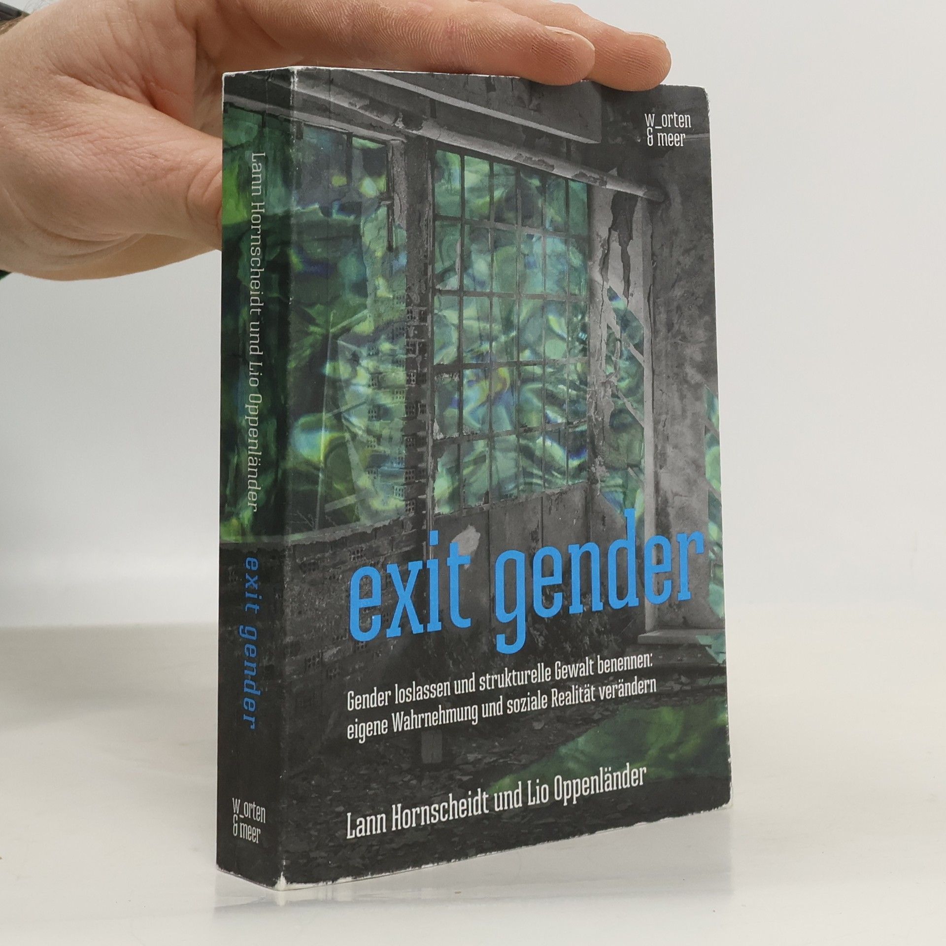 Lann Hornscheidt Exit Gender