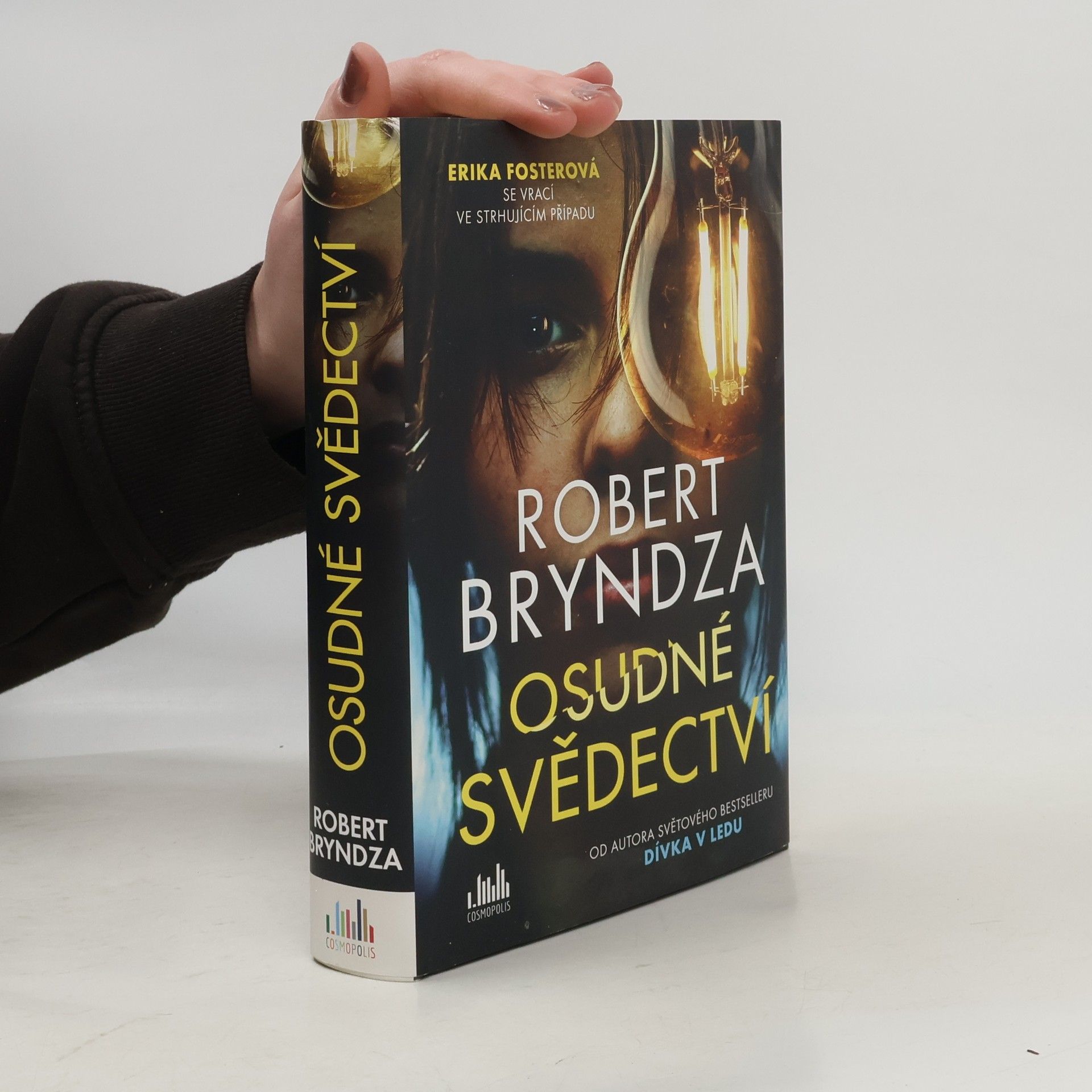 Robert Bryndza Osudné svědectví