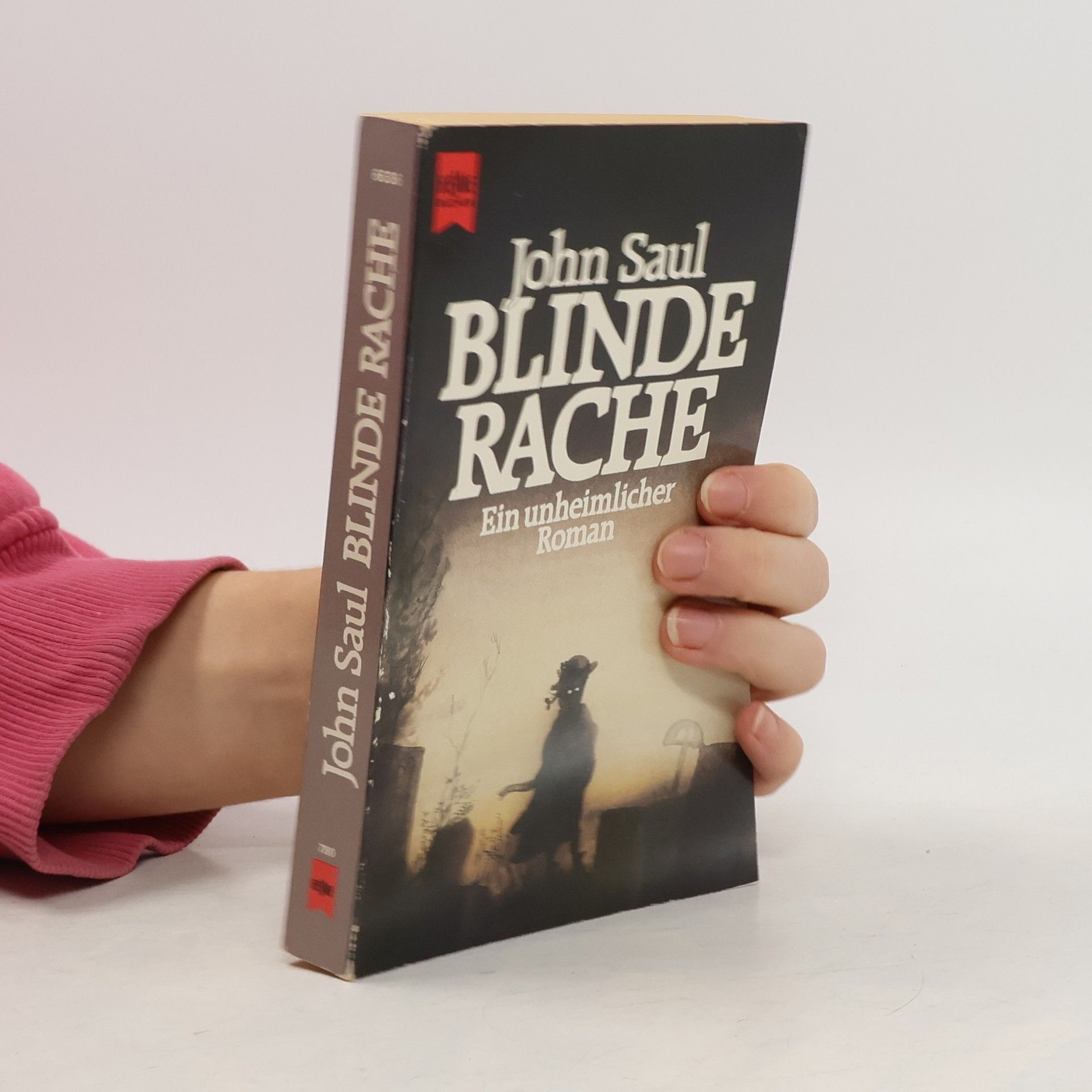 John Saul Blinde Rache