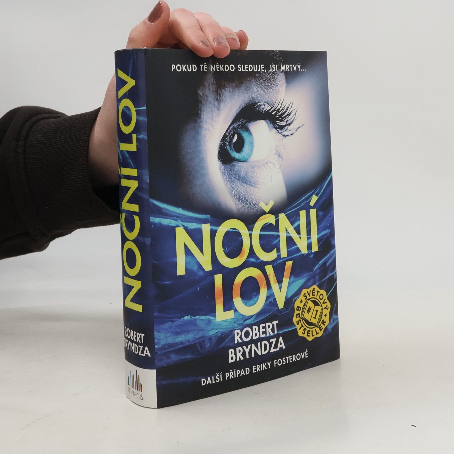 Robert Bryndza Noční lov