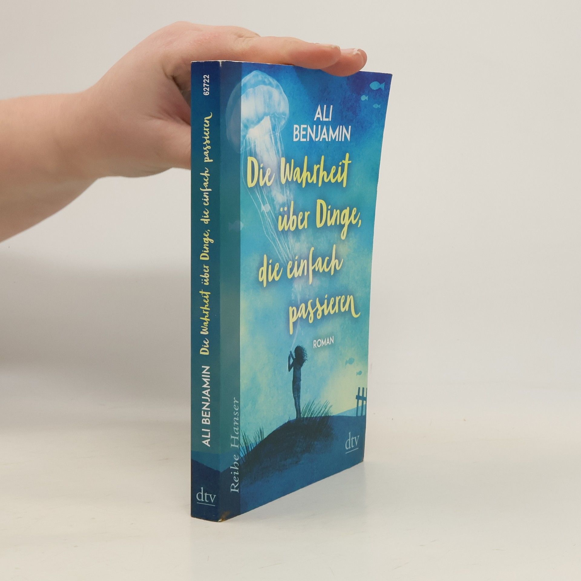 Ali Benjamin Die Wahrheit über Dinge, die einfach passieren