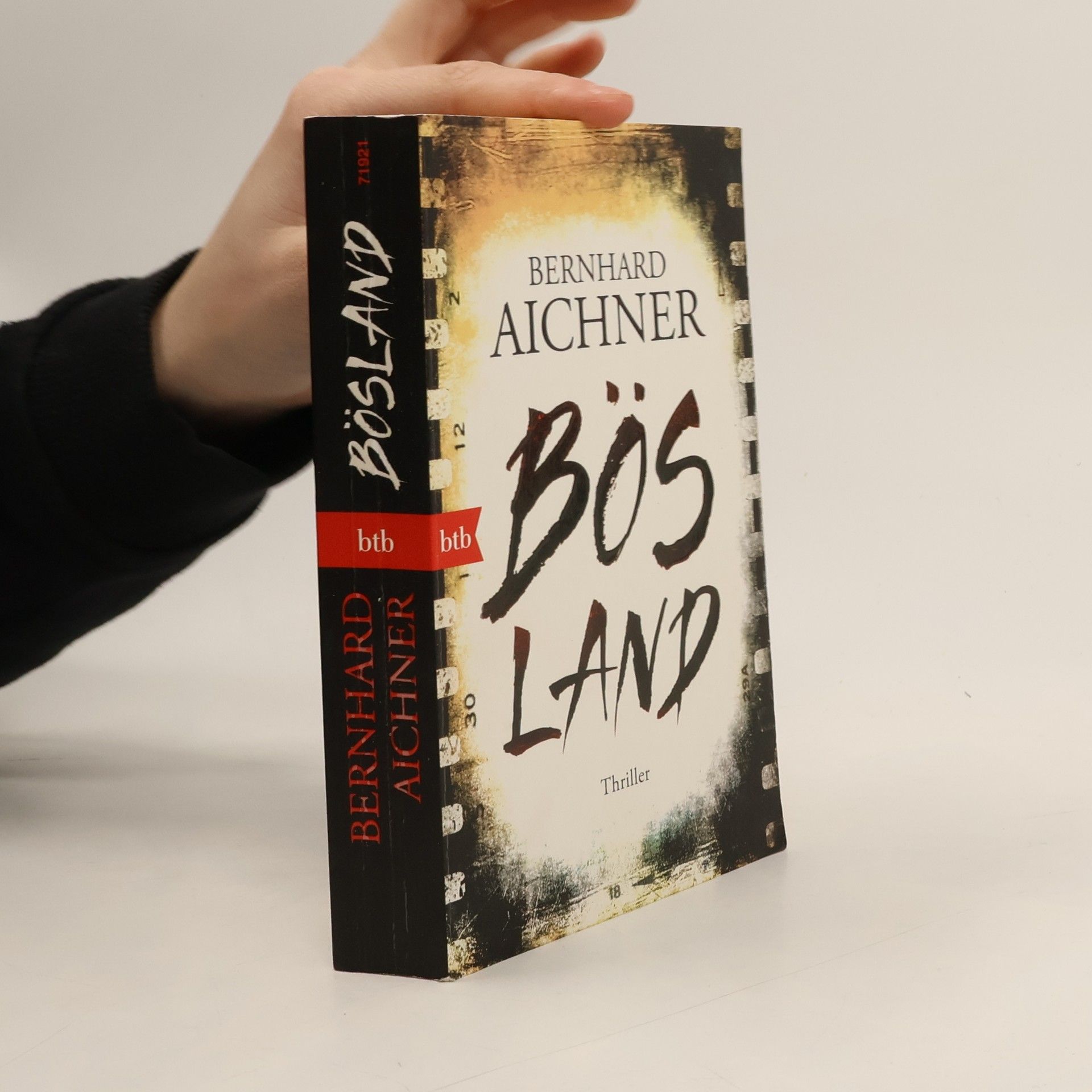 Bernhard Aichner Bösland