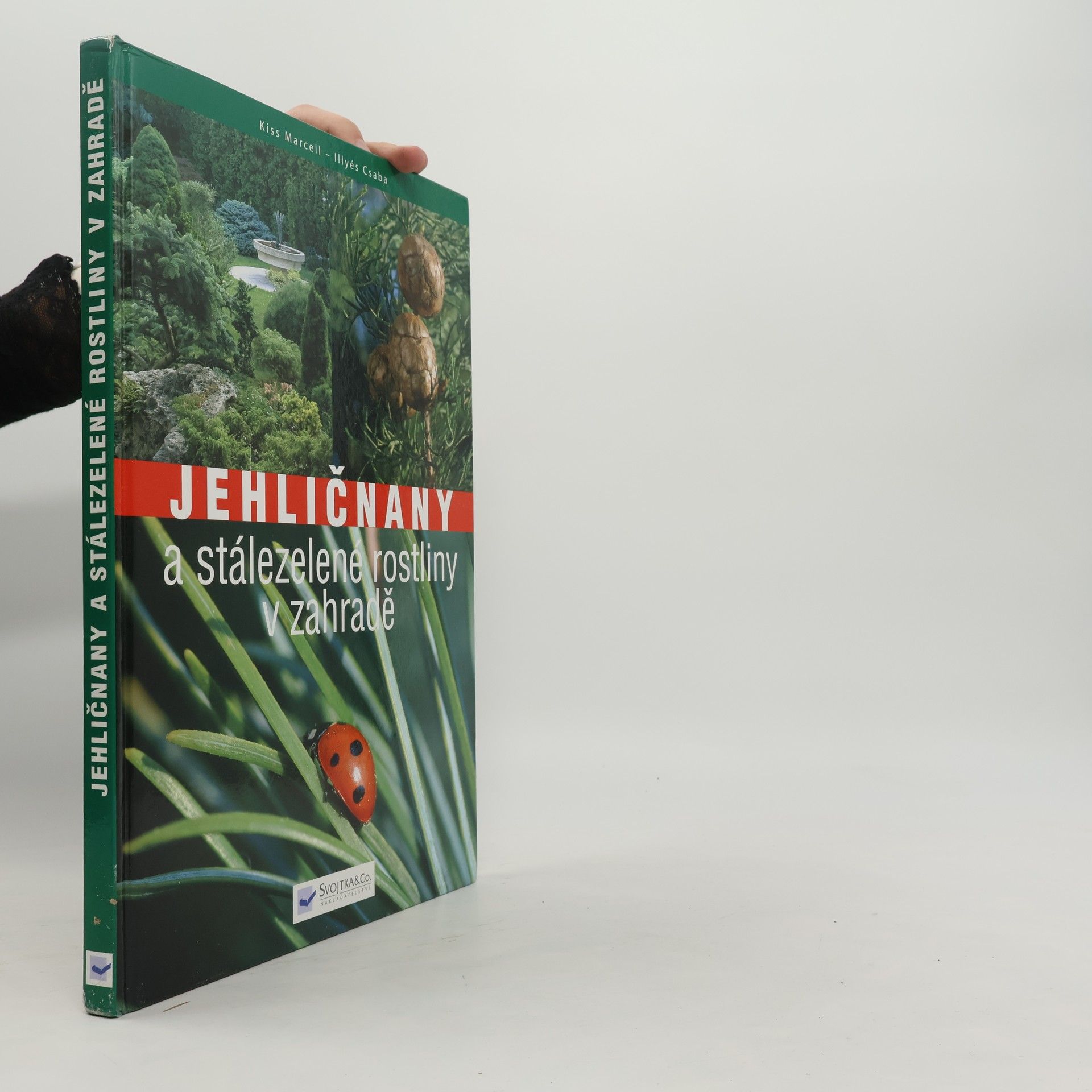 Marcell Kiss Jehličnany a stálezelené rostliny v zahradě