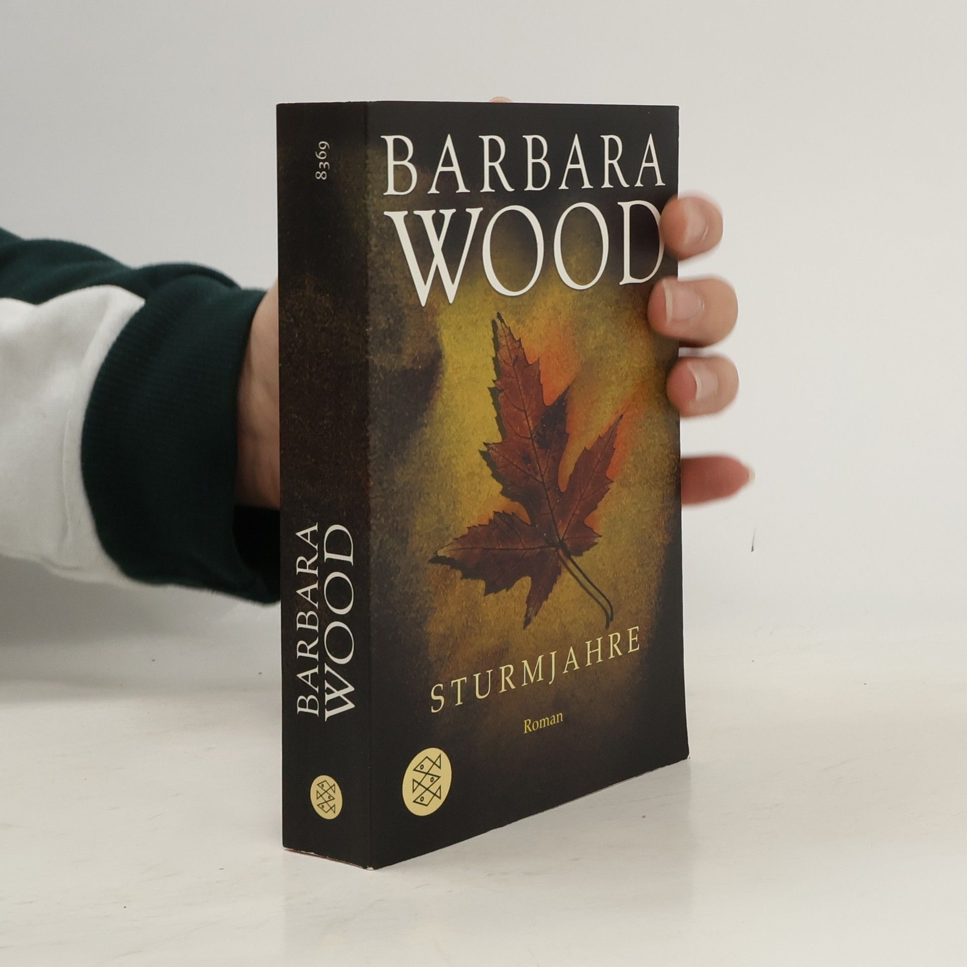 Barbara Wood Sturmjahre