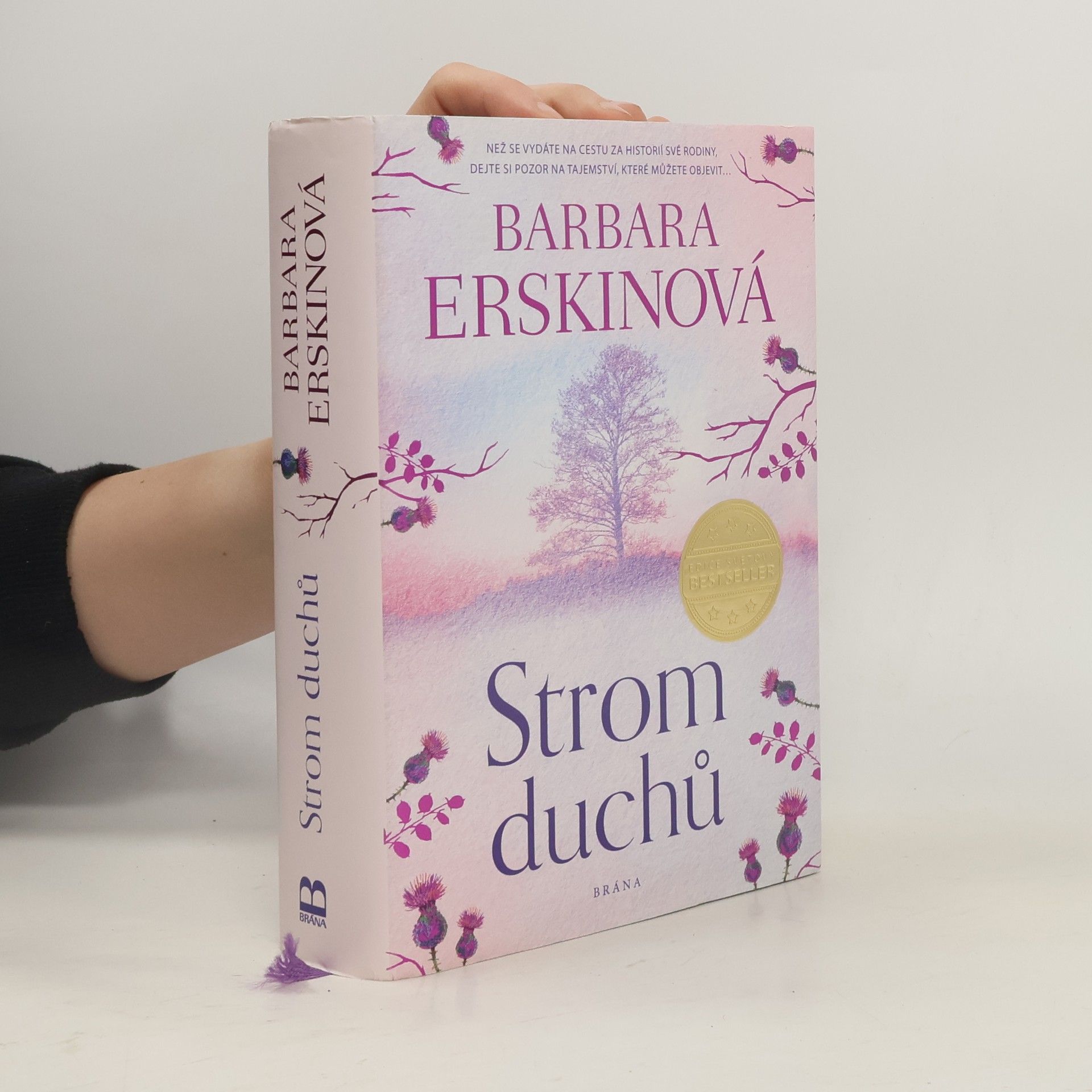 Barbara Erskine Strom duchů