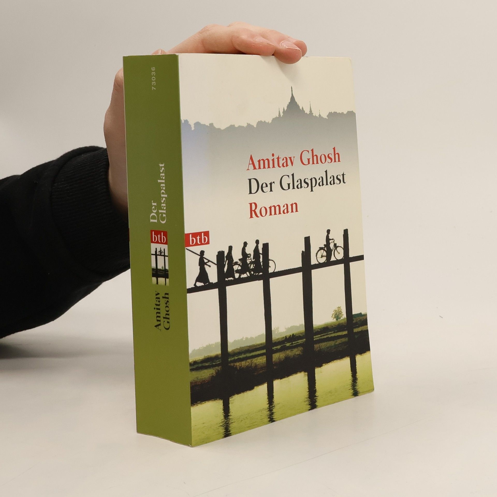 Amitav Ghosh Der Glaspalast
