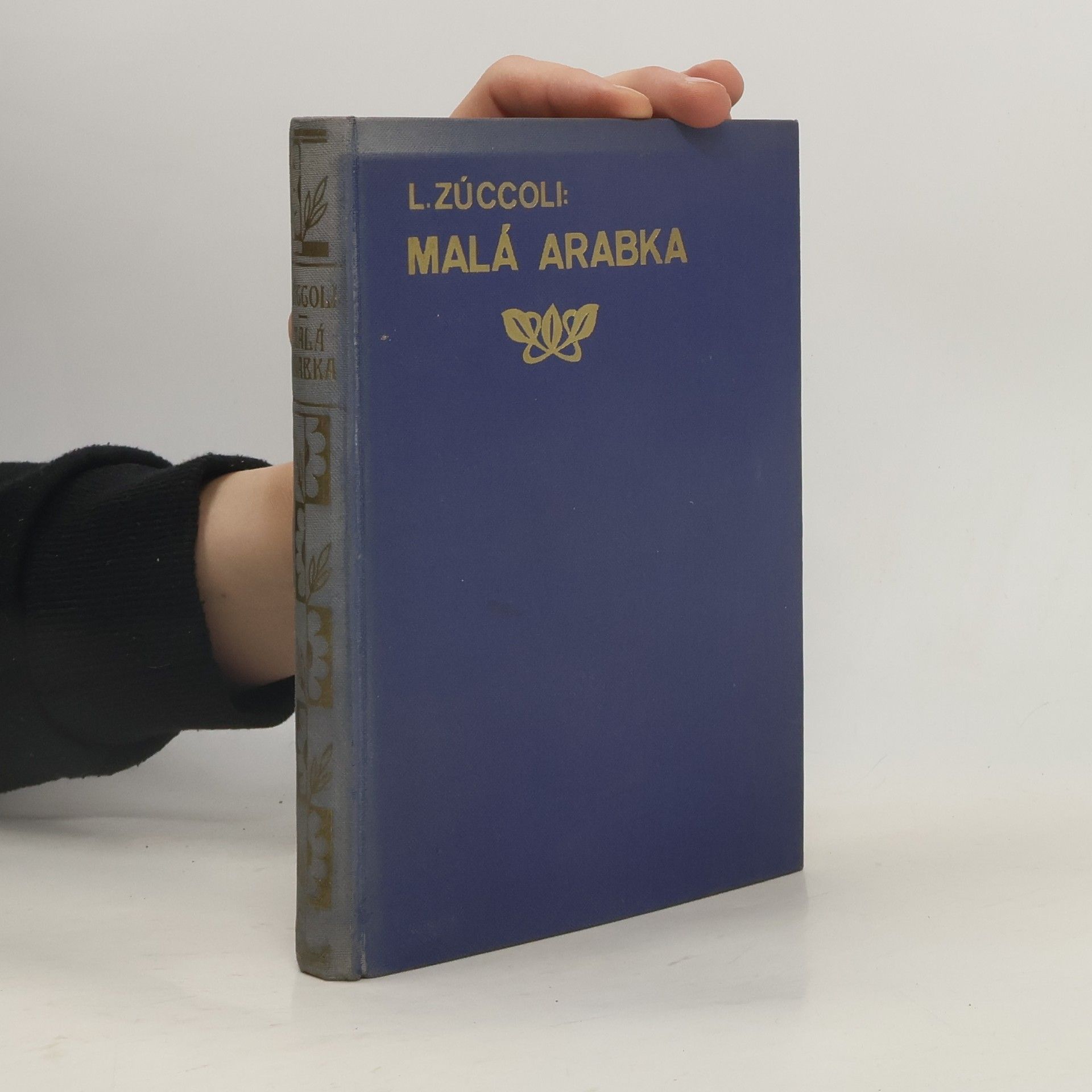 Luciano Zùccoli Malá Arabka