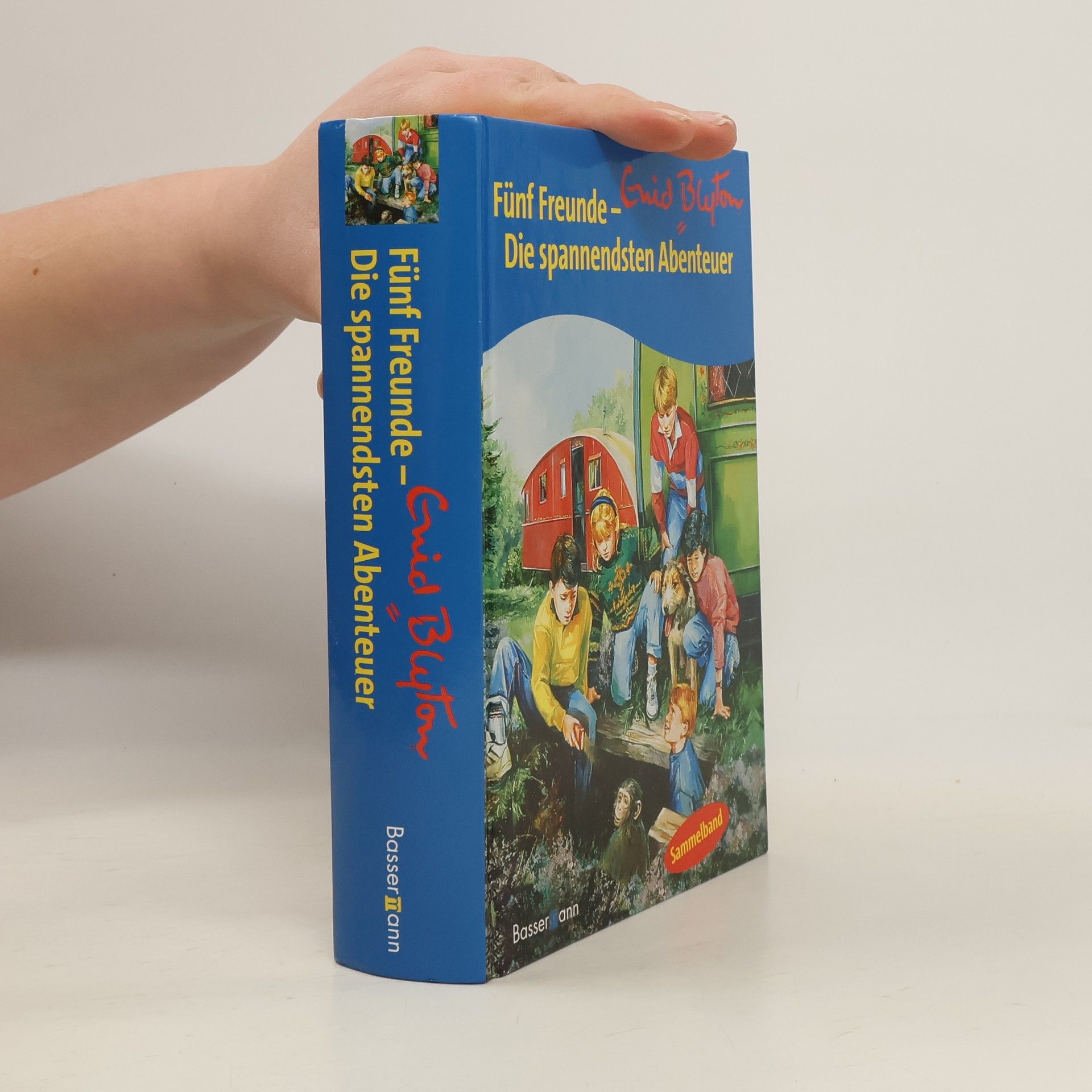 Enid Blyton Fünf Freunde - die spannendsten Abenteuer
